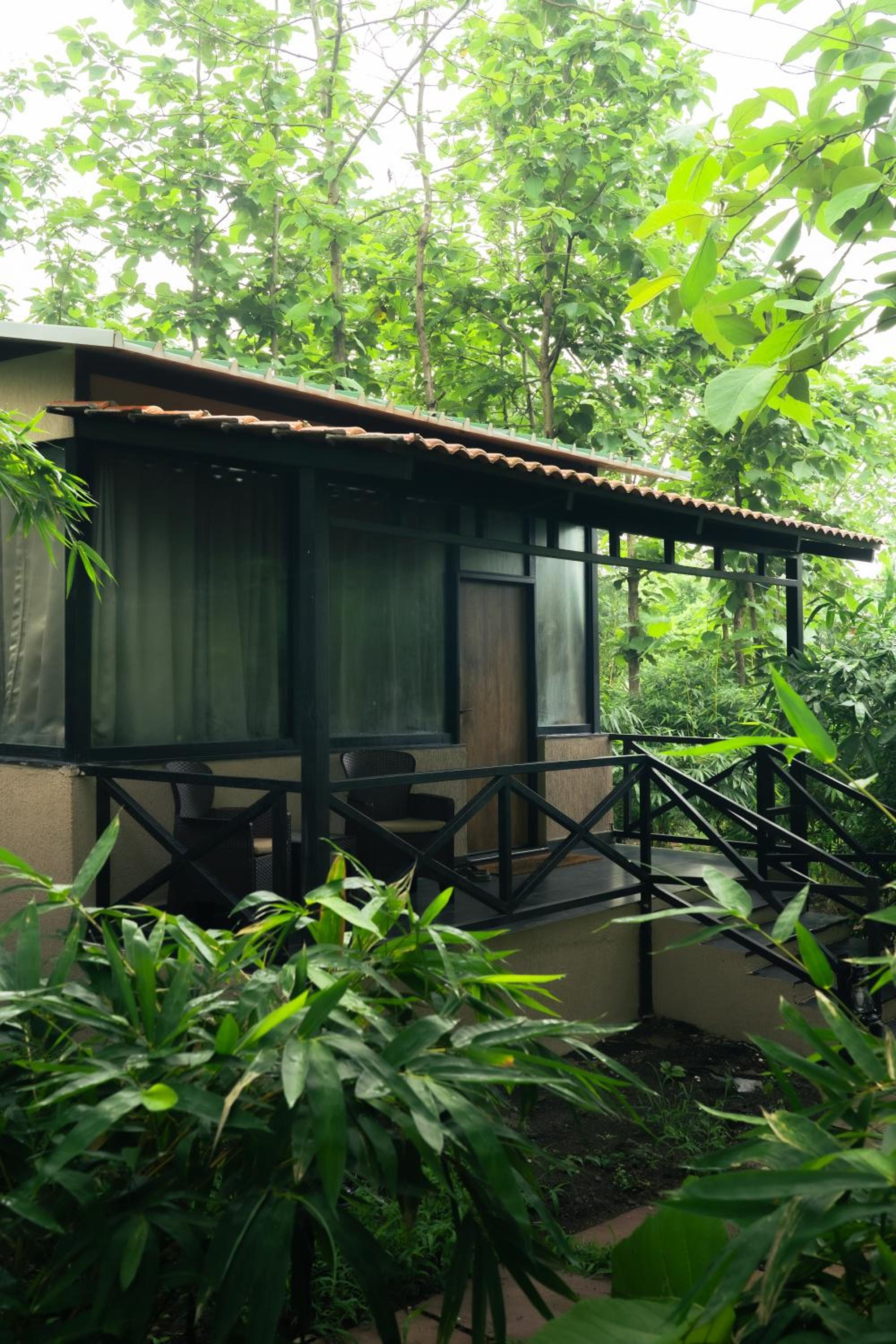 Treepie Safari Lodge