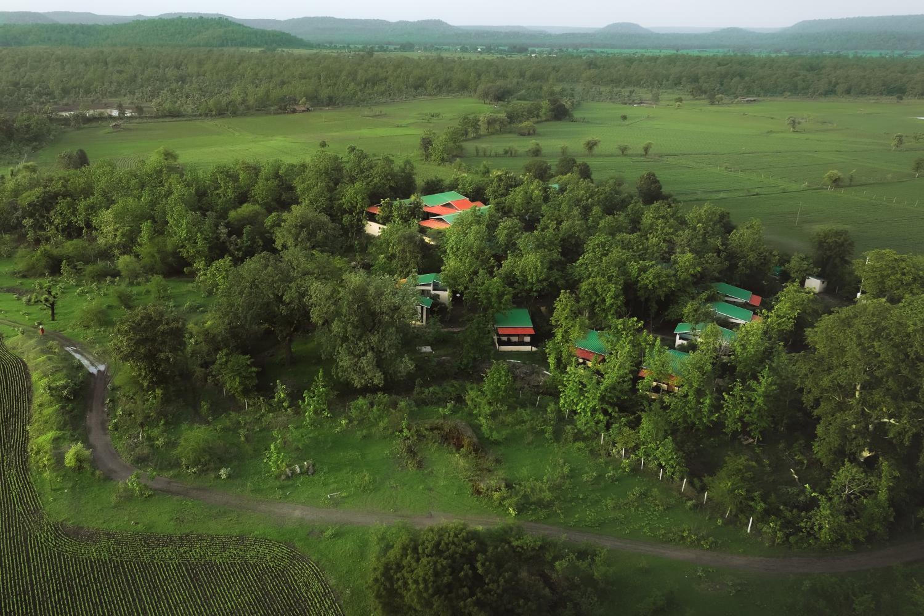 Treepie Safari Lodge
