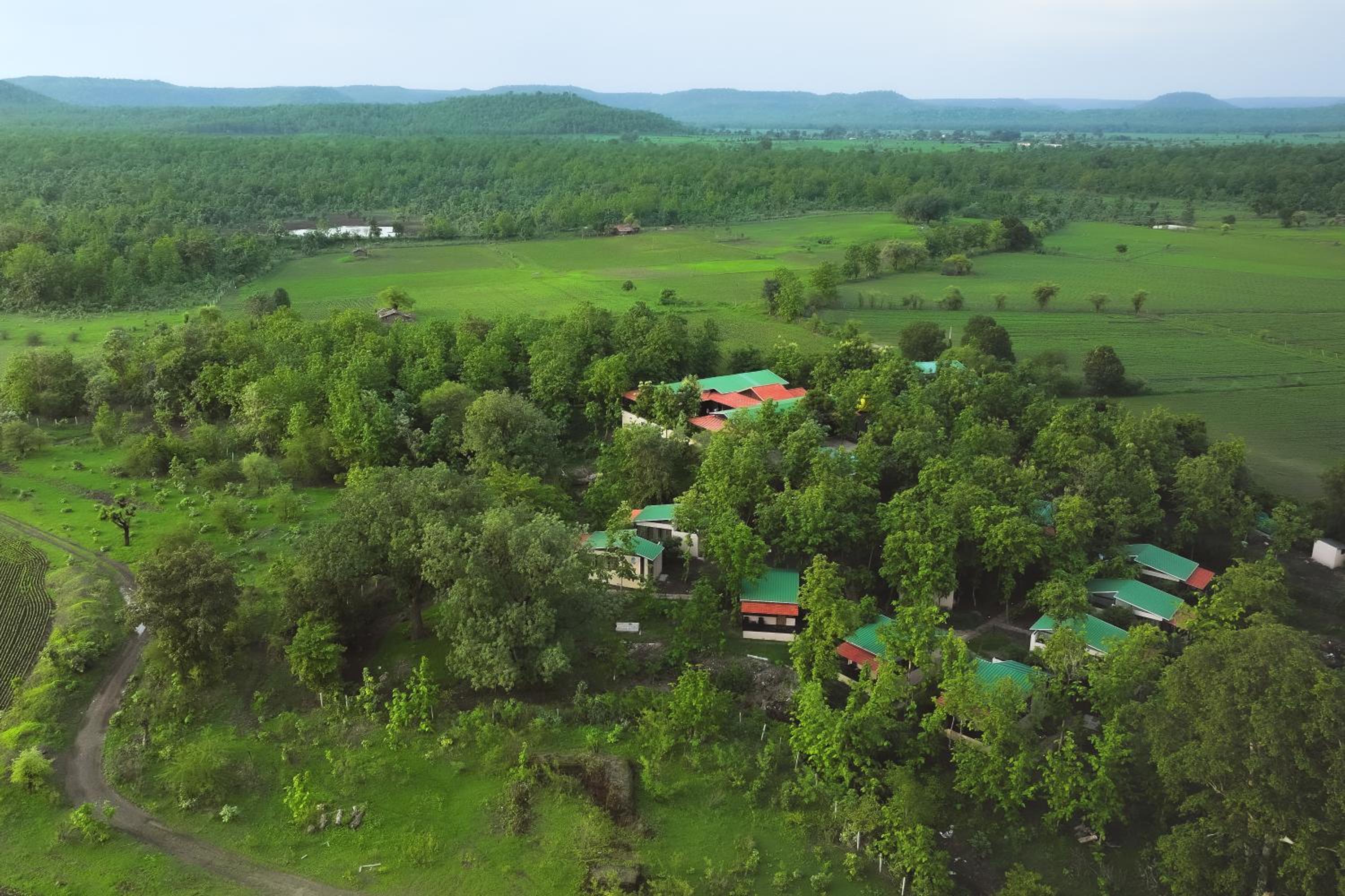 Treepie Safari Lodge