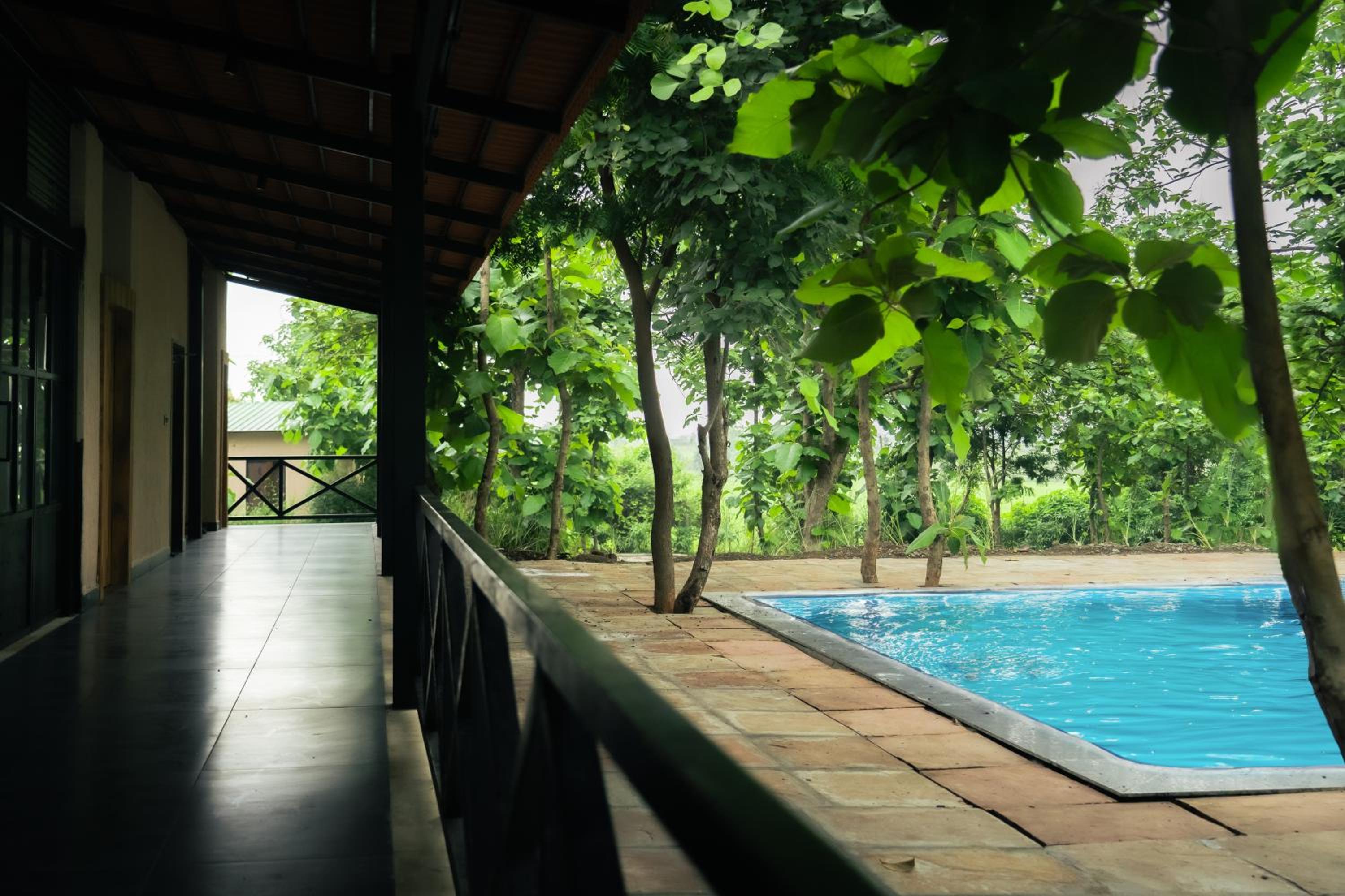 Treepie Safari Lodge