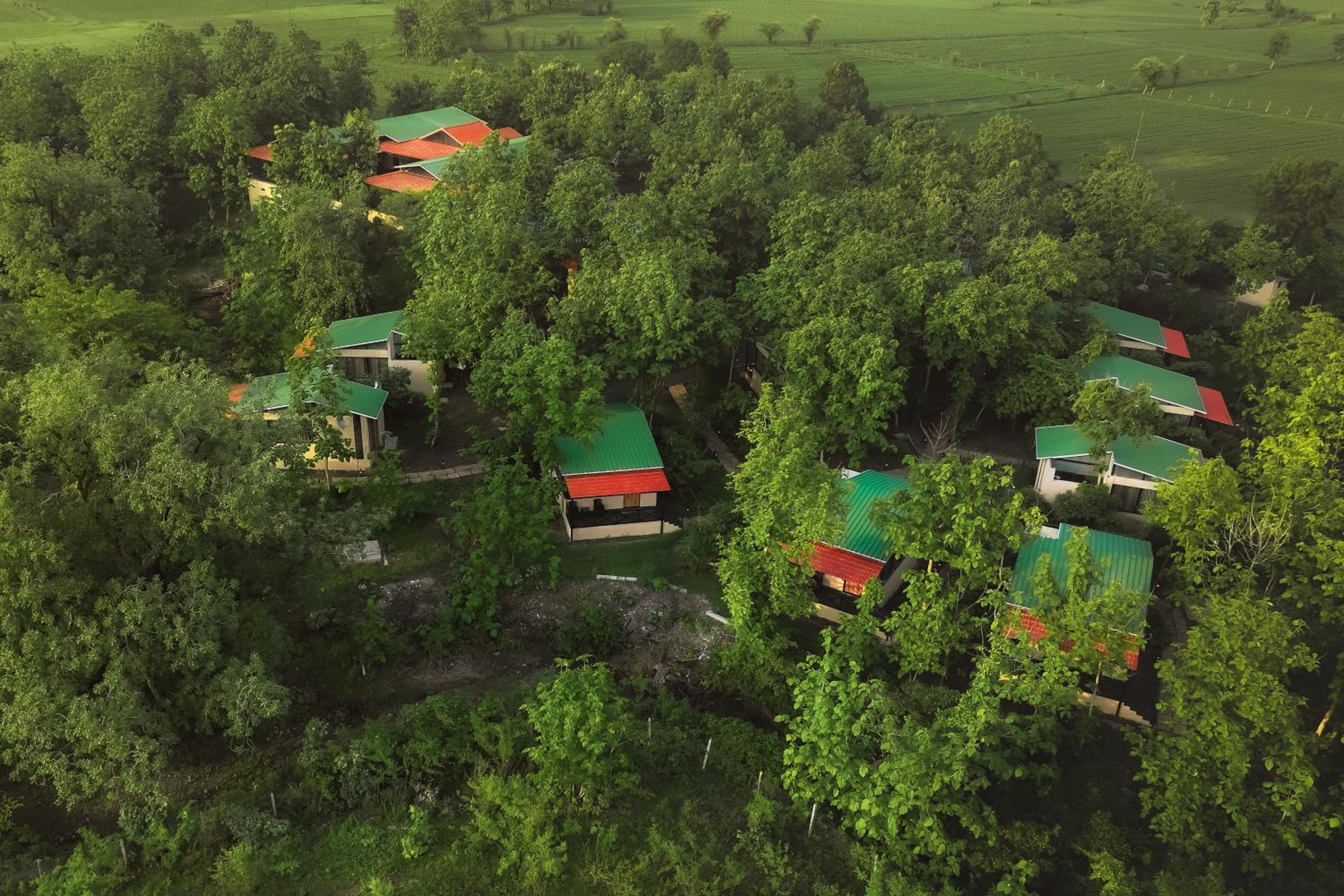 Treepie Safari Lodge