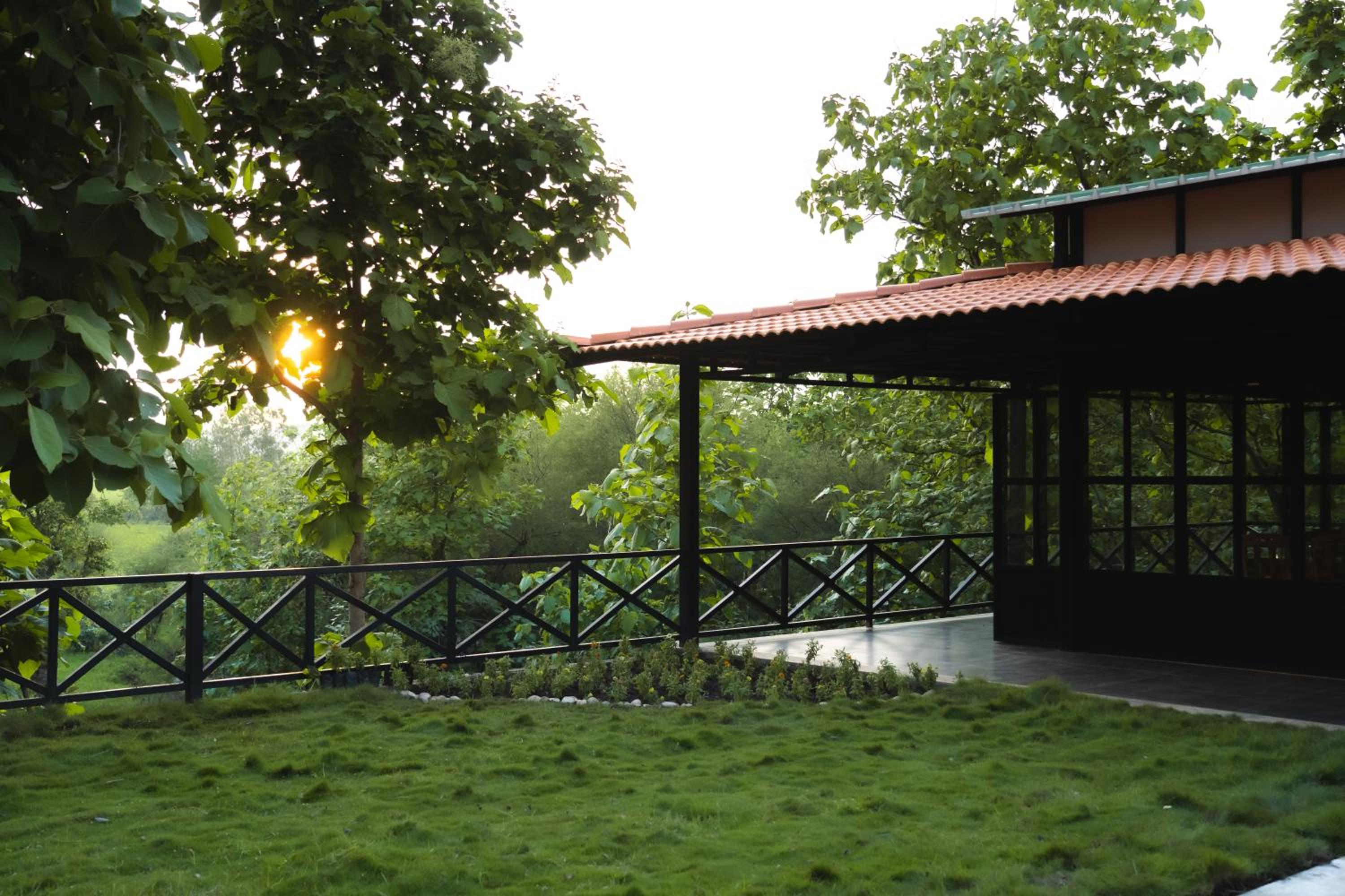 Treepie Safari Lodge