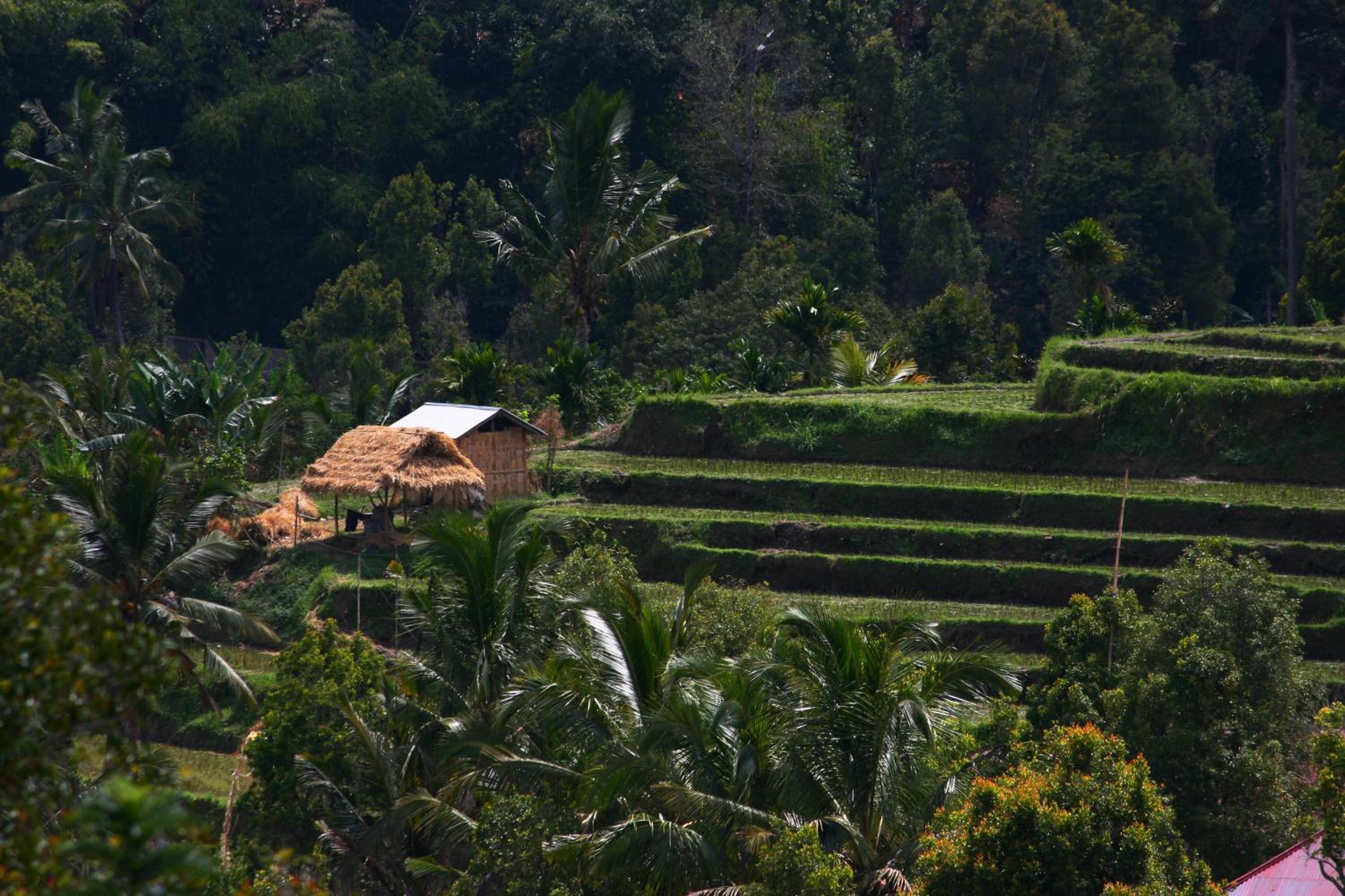 Melanting Cottages