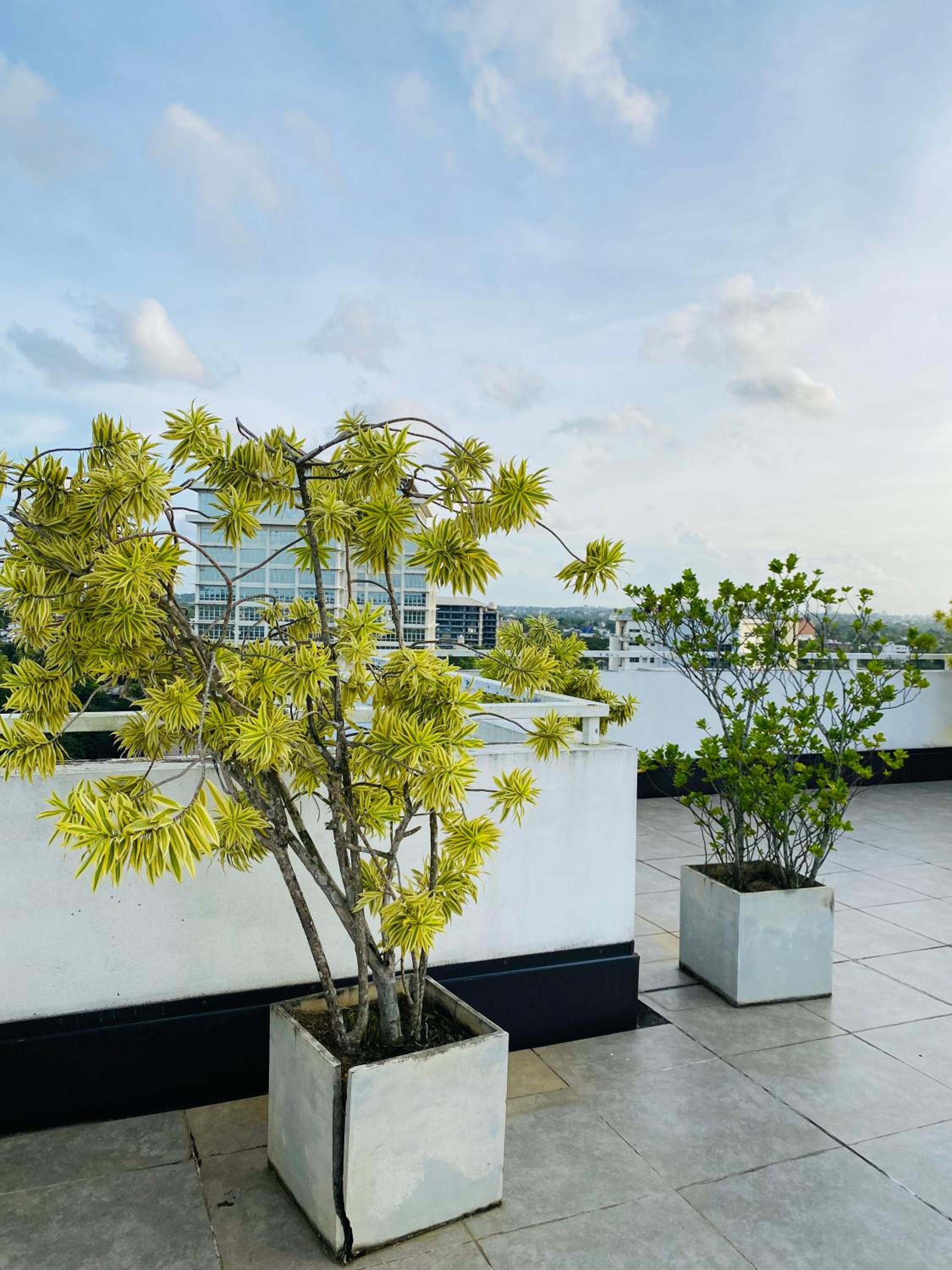 roof