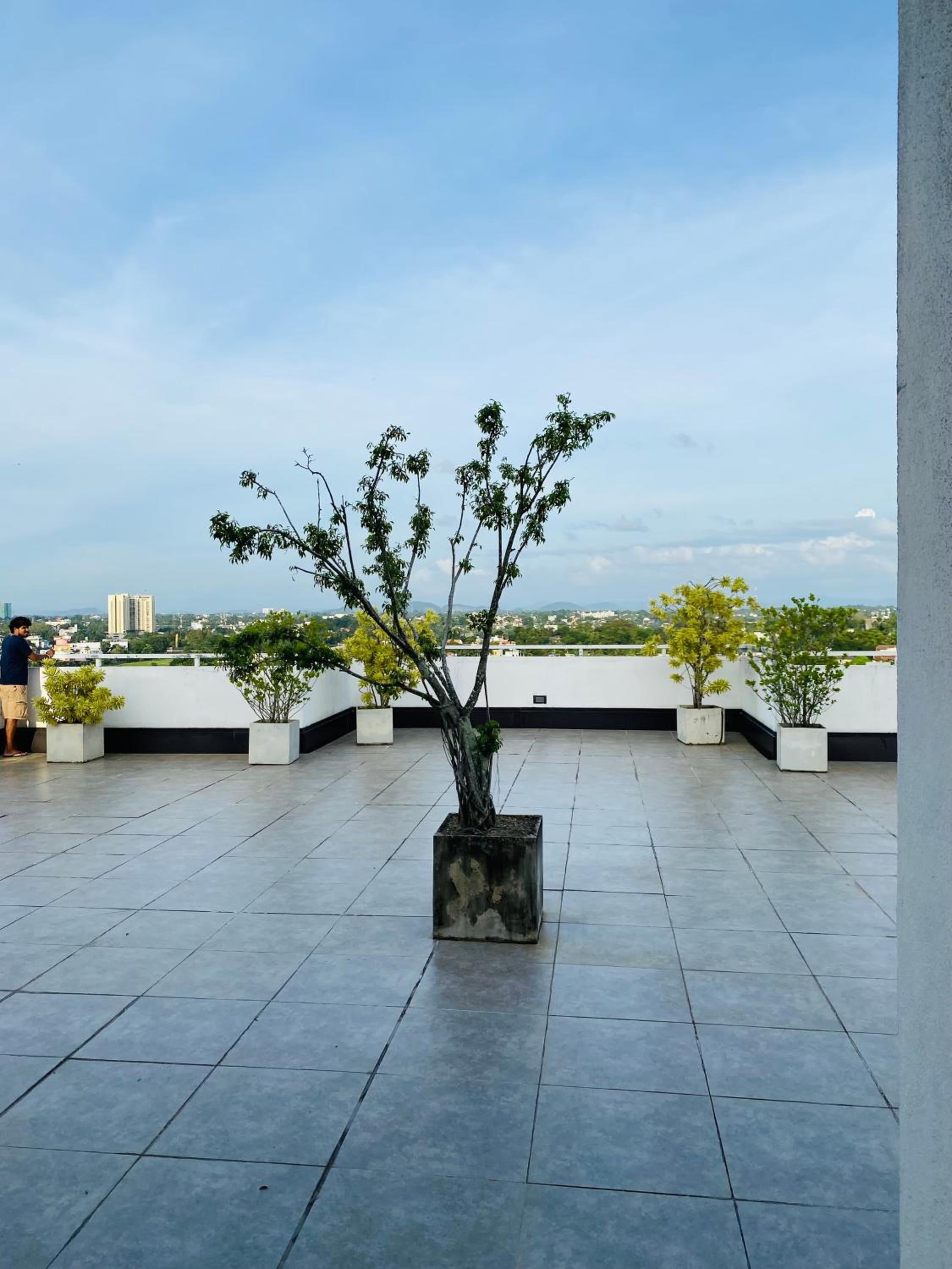 roof