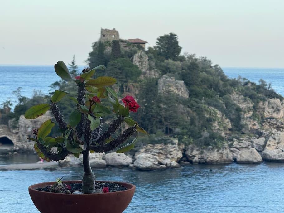 MF House en Taormina — other