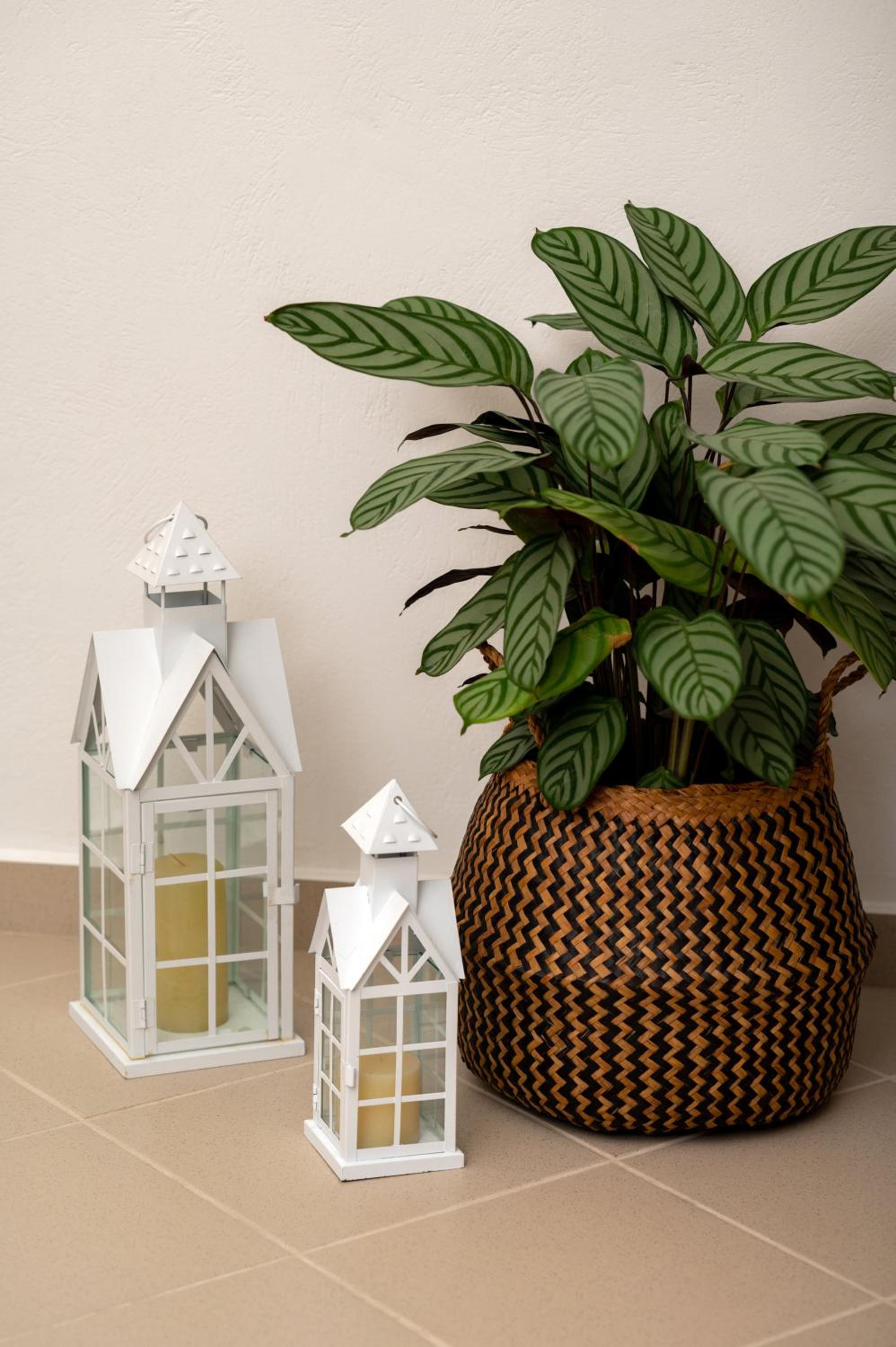 Uva Nera House Oia photo 4