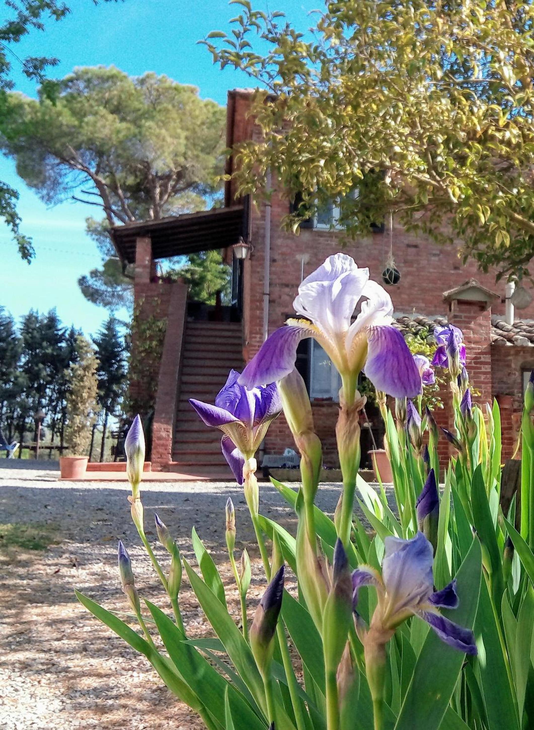 Agriturismo La Terra