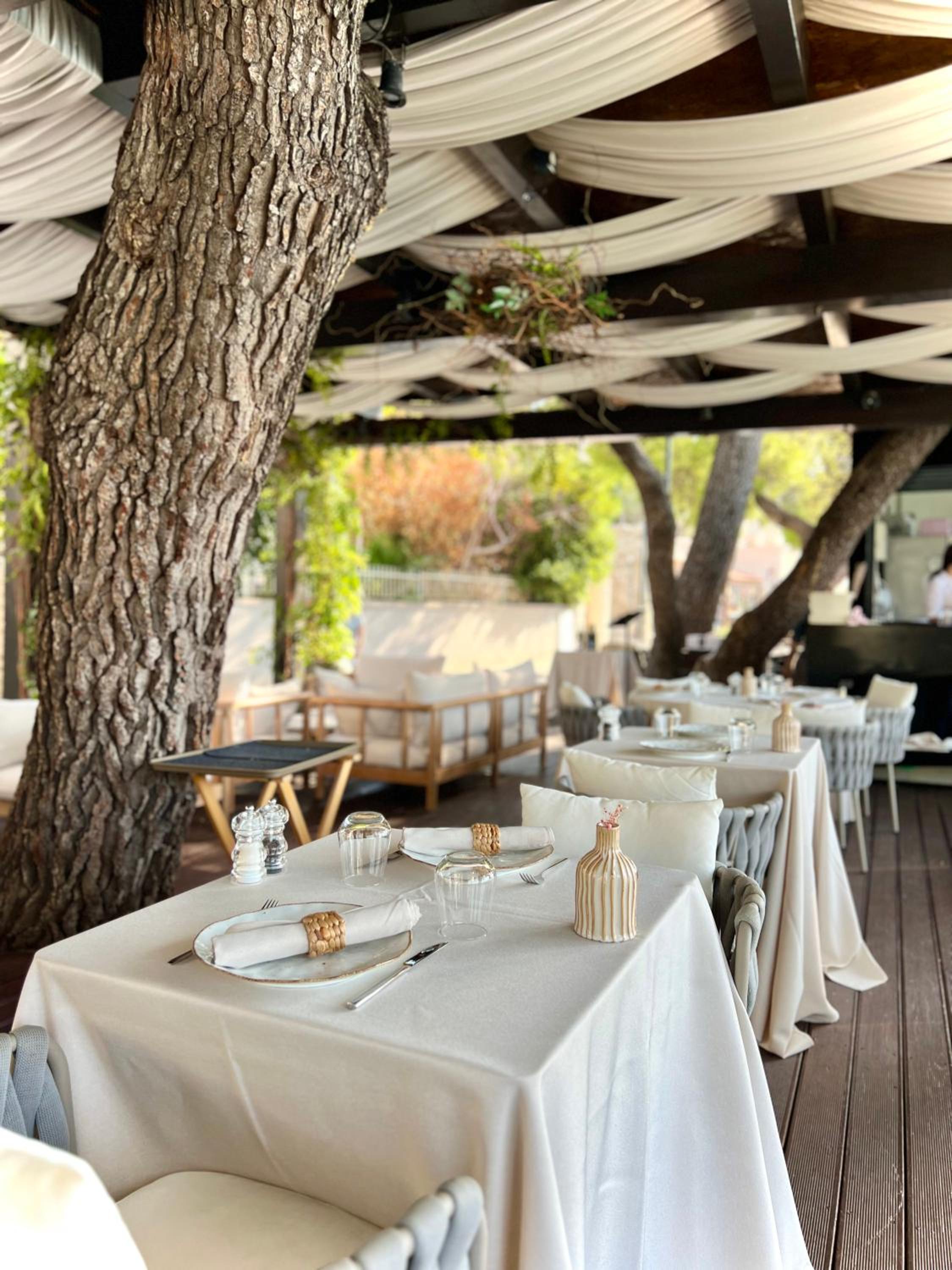 Cavtat Vacations - Hotel Cavtat - Property Image 23