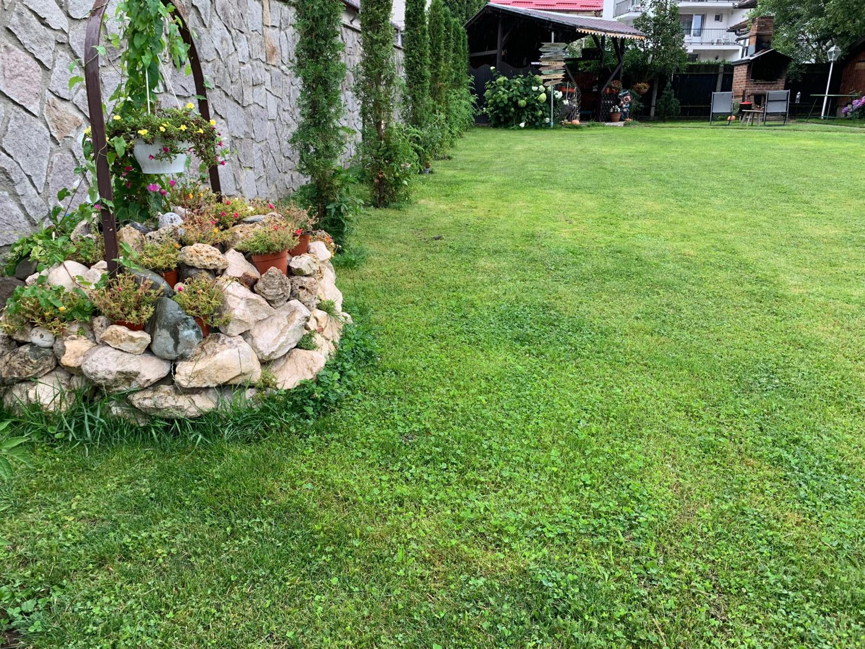 Photo 51