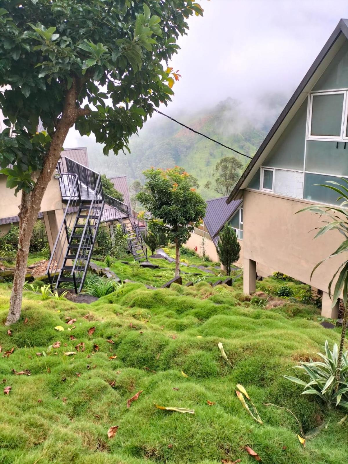 Mirage Waterfall Villa view 5