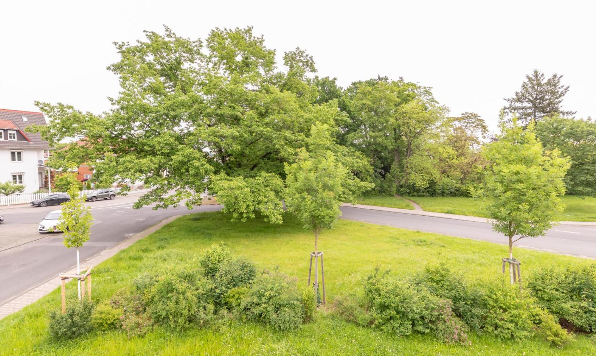 Family-Friedndly Home with Large Garden &BBQ Grill
