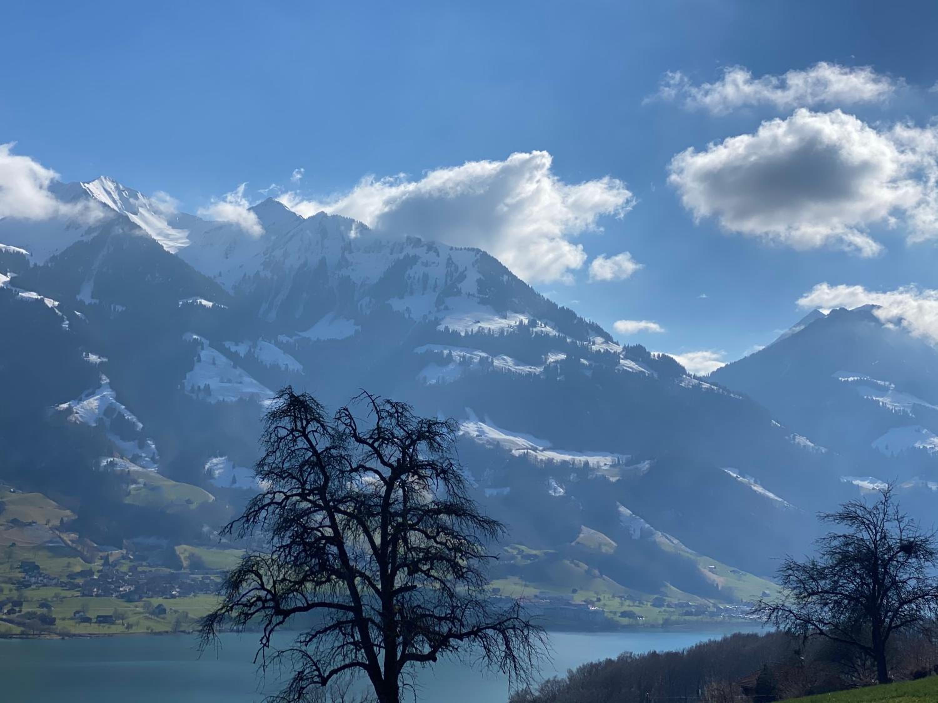 Chalet Seeblick