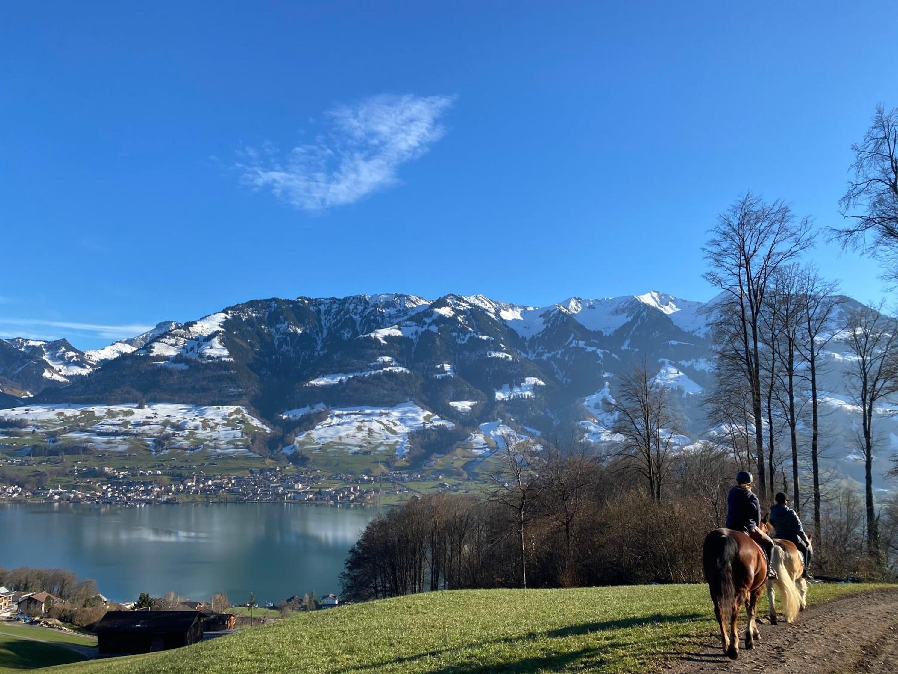 Chalet Seeblick