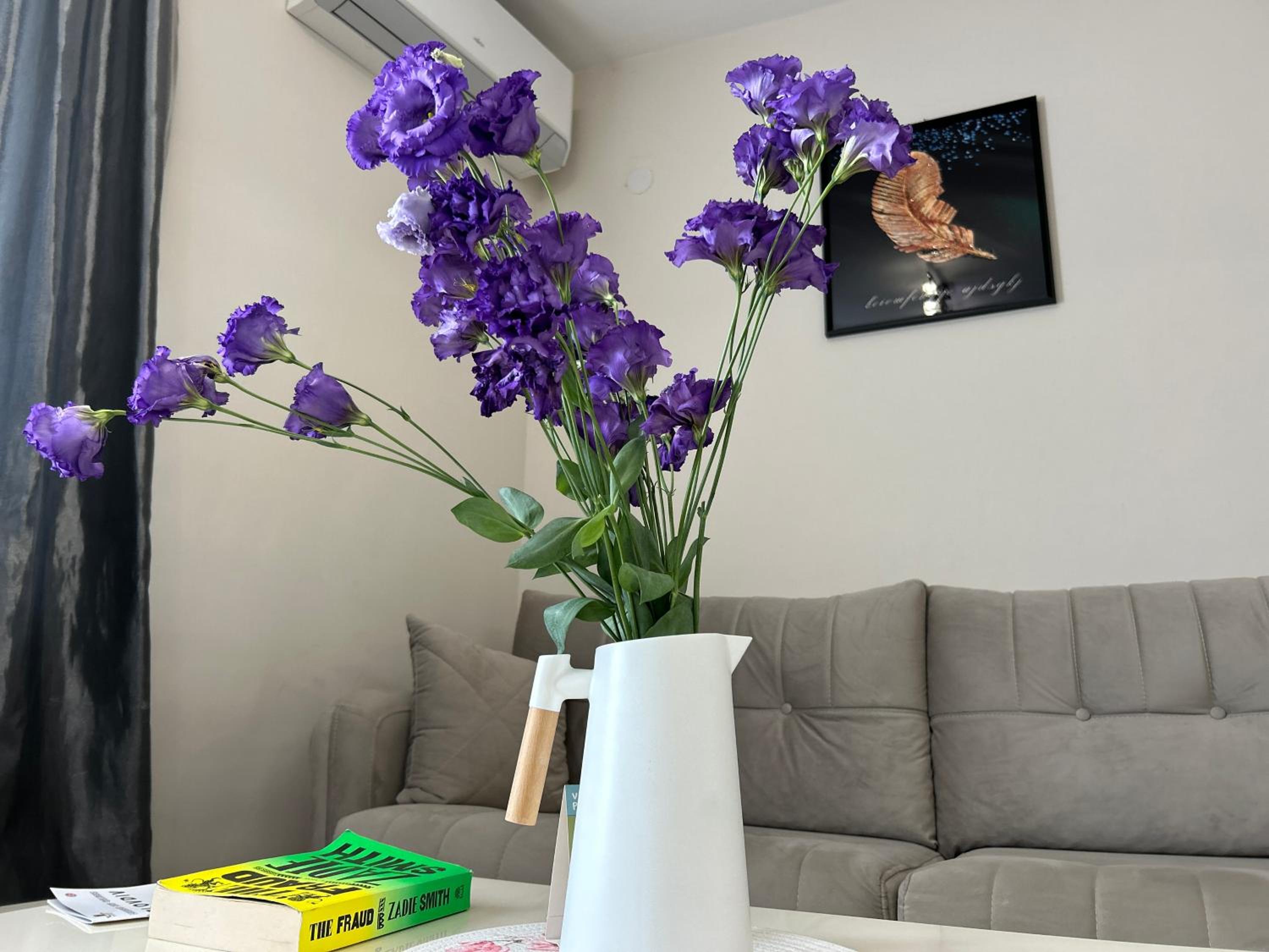 Old Town Apartment 3 with Free Private Parking