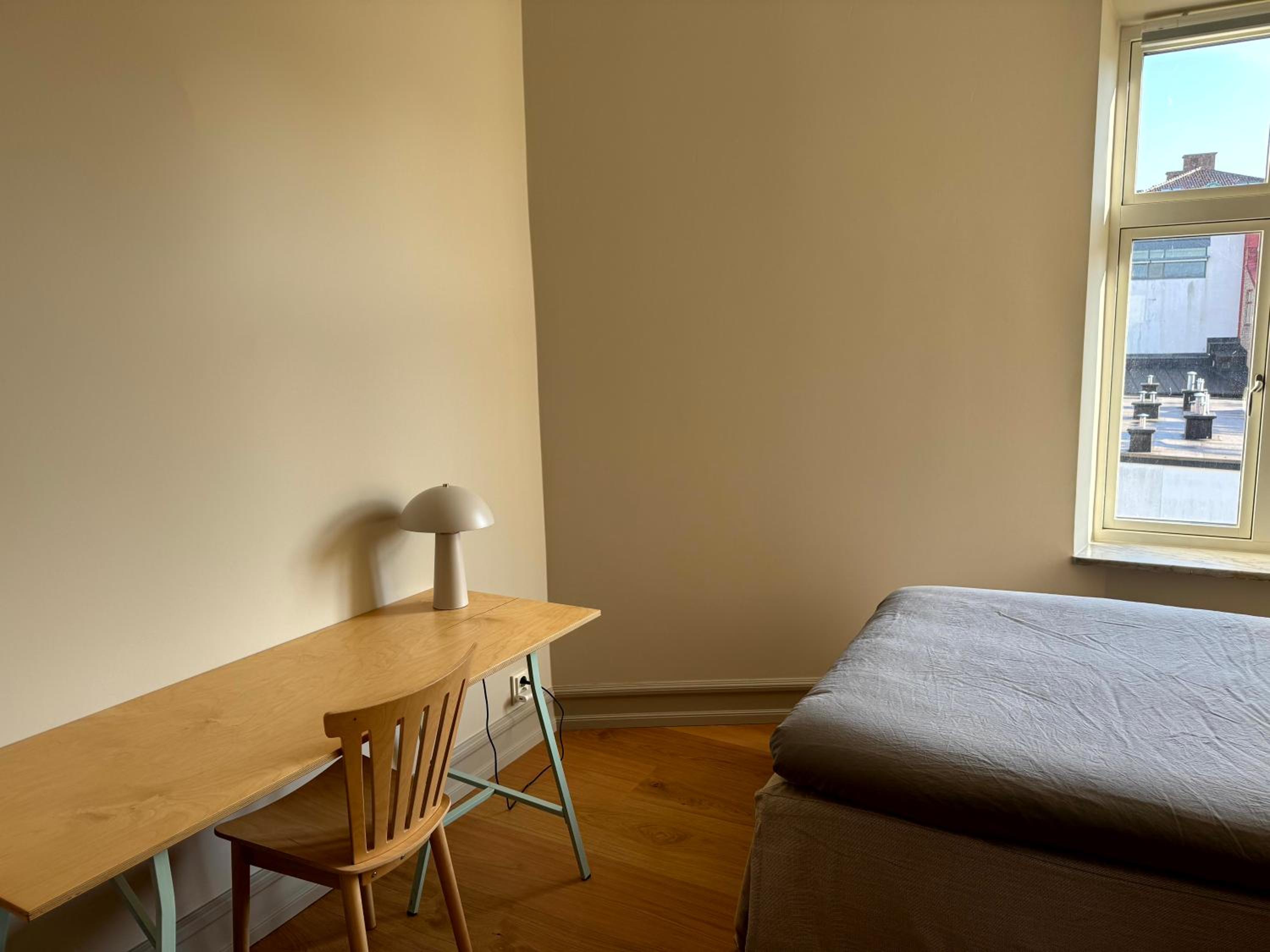 Photo 42