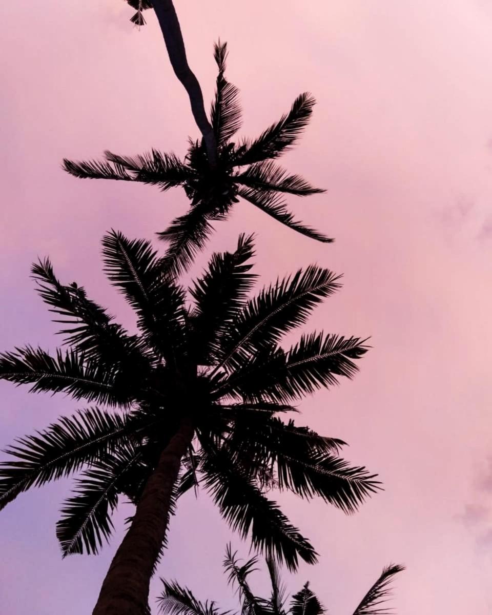 Coco Colada Bungalows