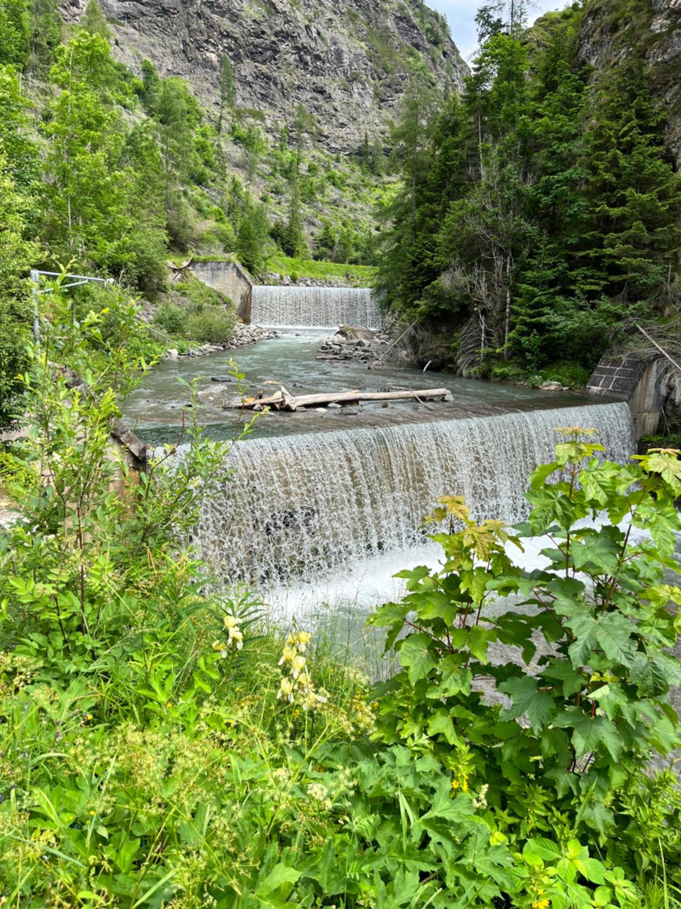 Photo 42