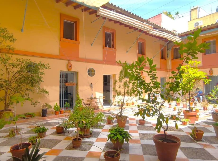 Santo Rey Suite