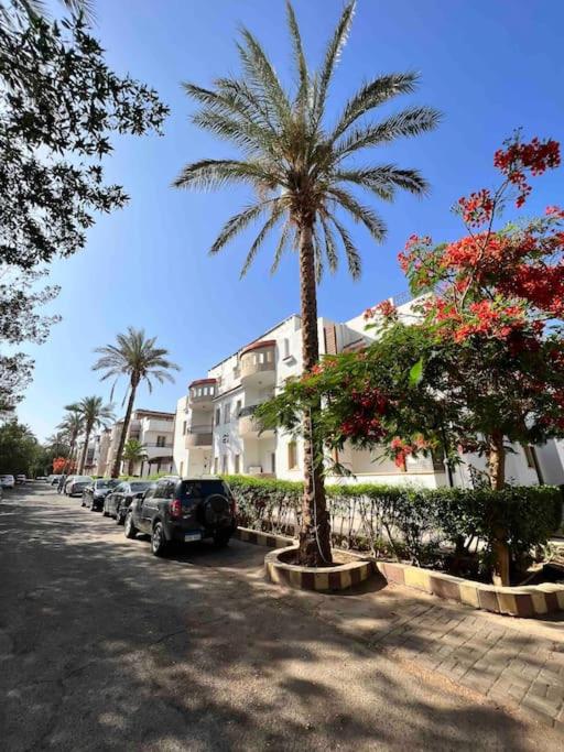 Amazing 2-Bed private Apartment with shared pools view 3