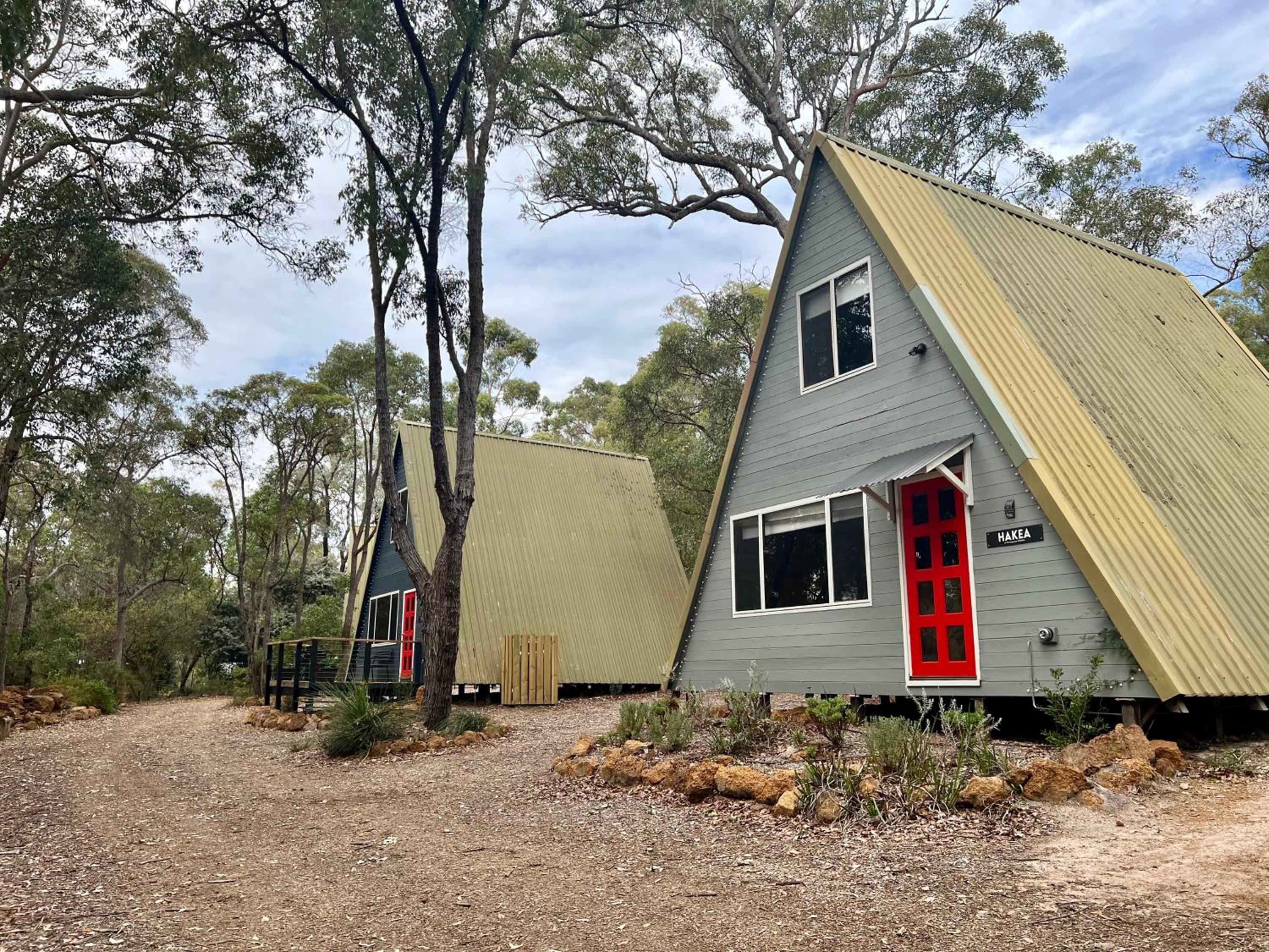Hakea at Porongurup Chalets