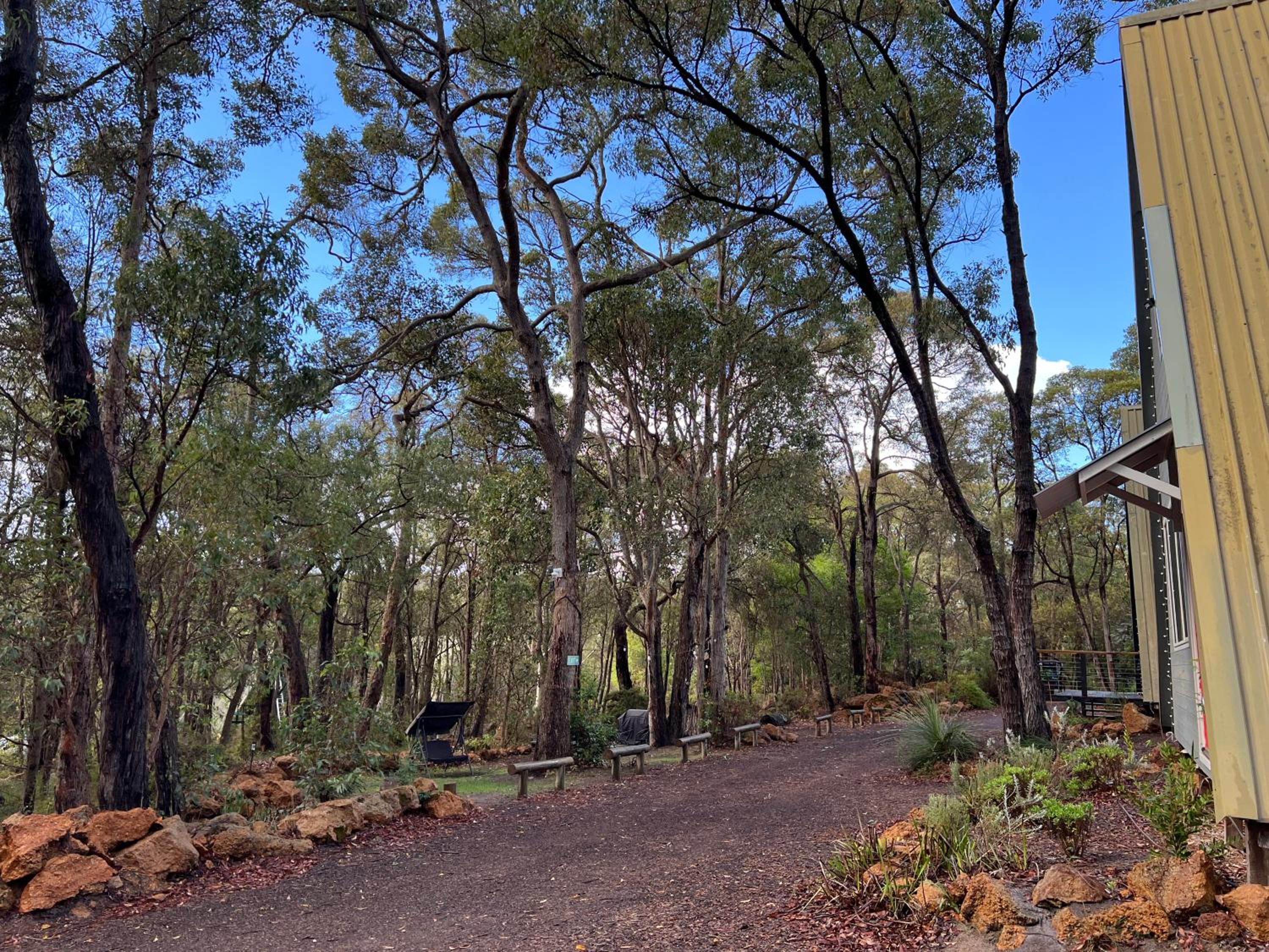 Hakea at Porongurup Chalets