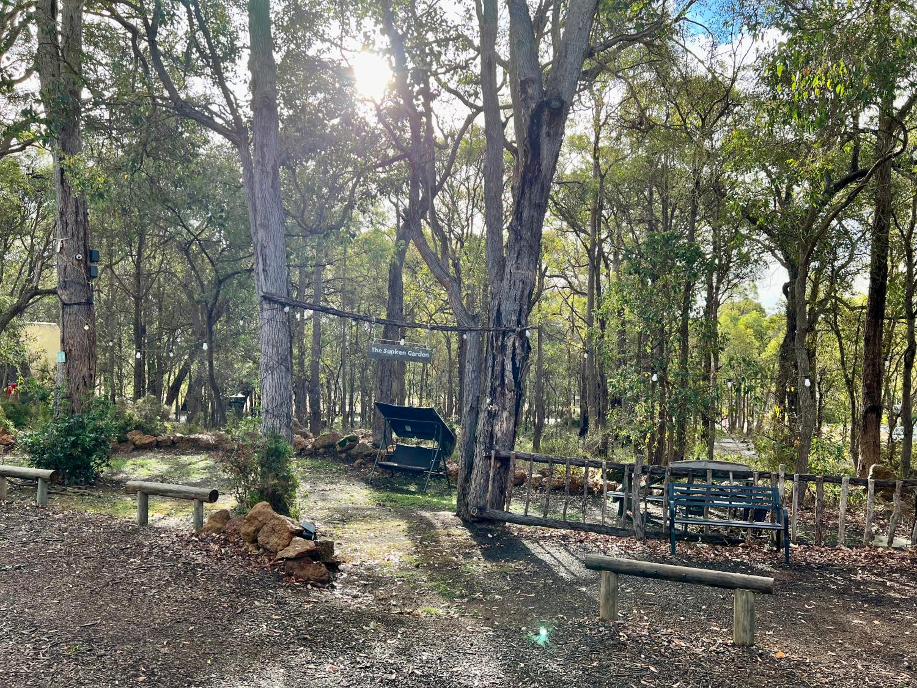 Hakea at Porongurup Chalets