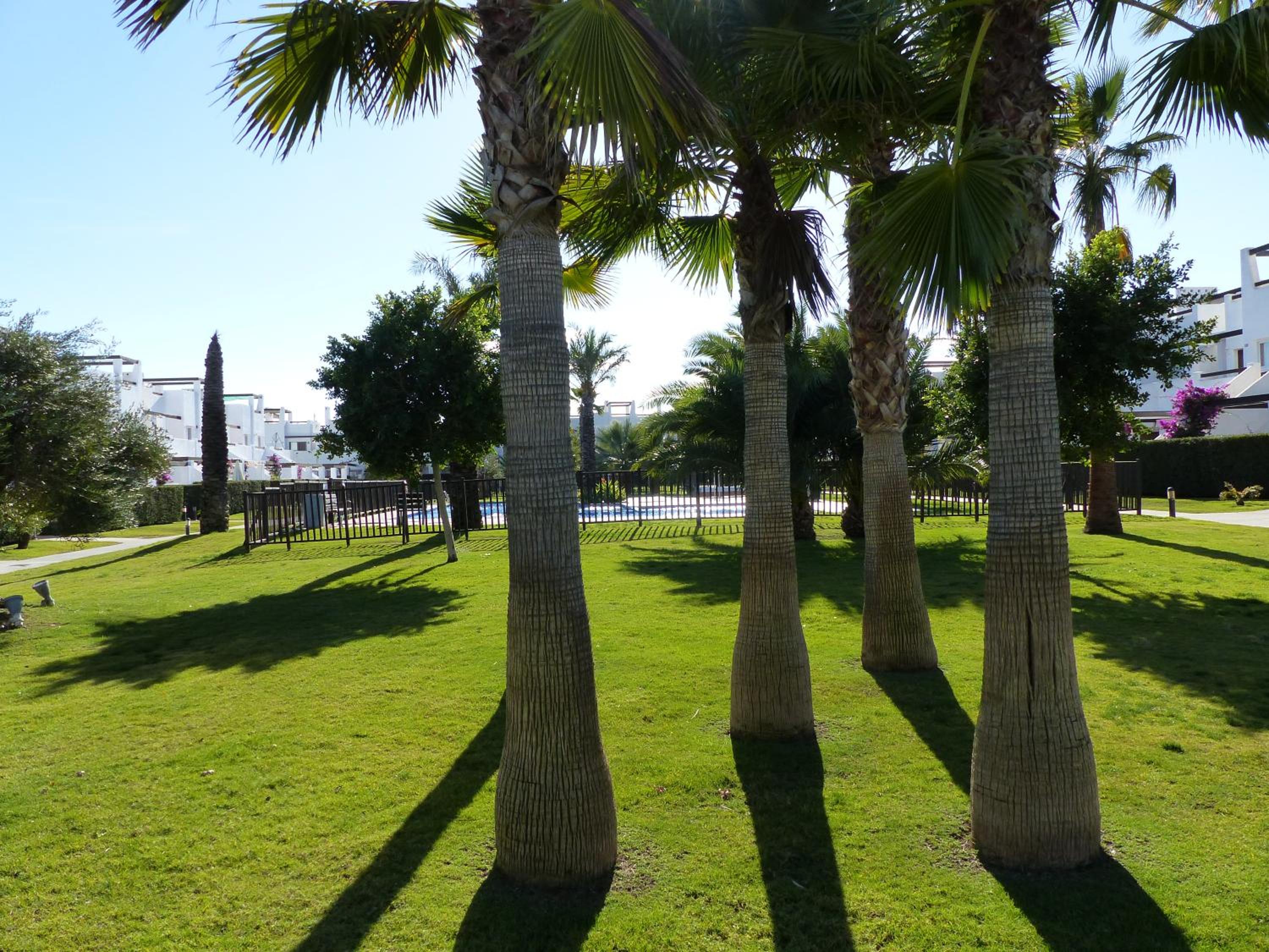 Photo 48