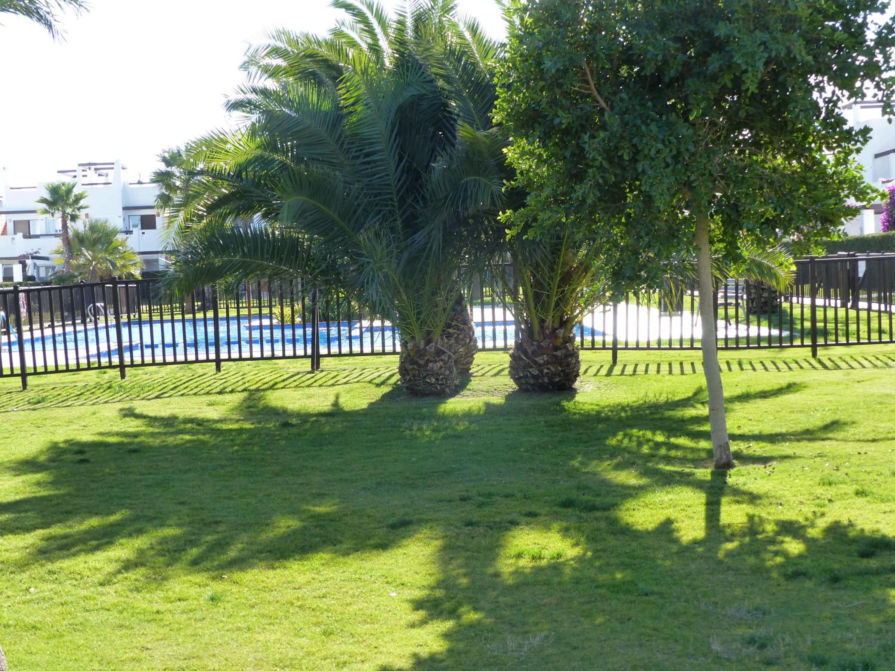 Photo 49