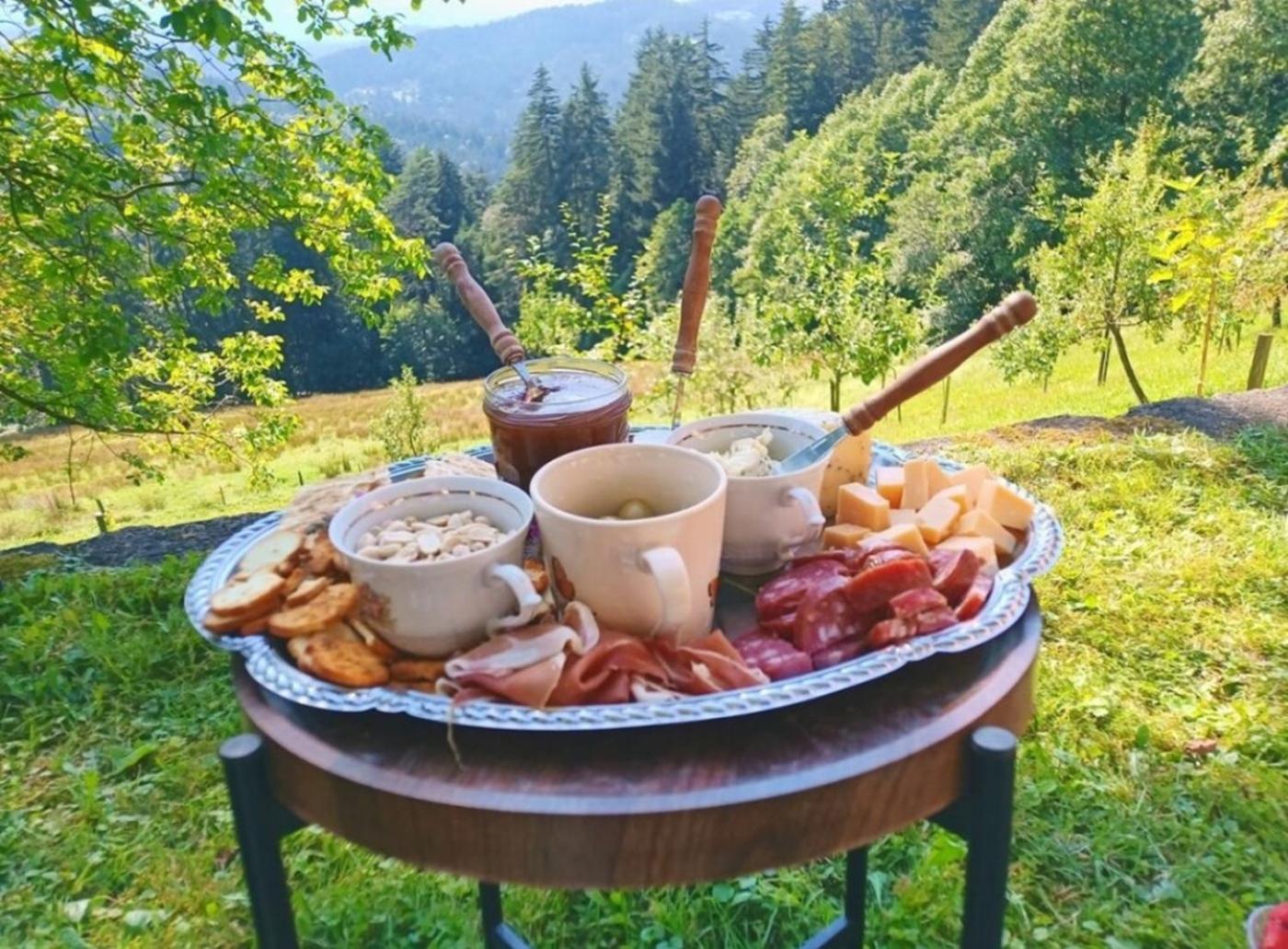 Hiška Gmajna view 3