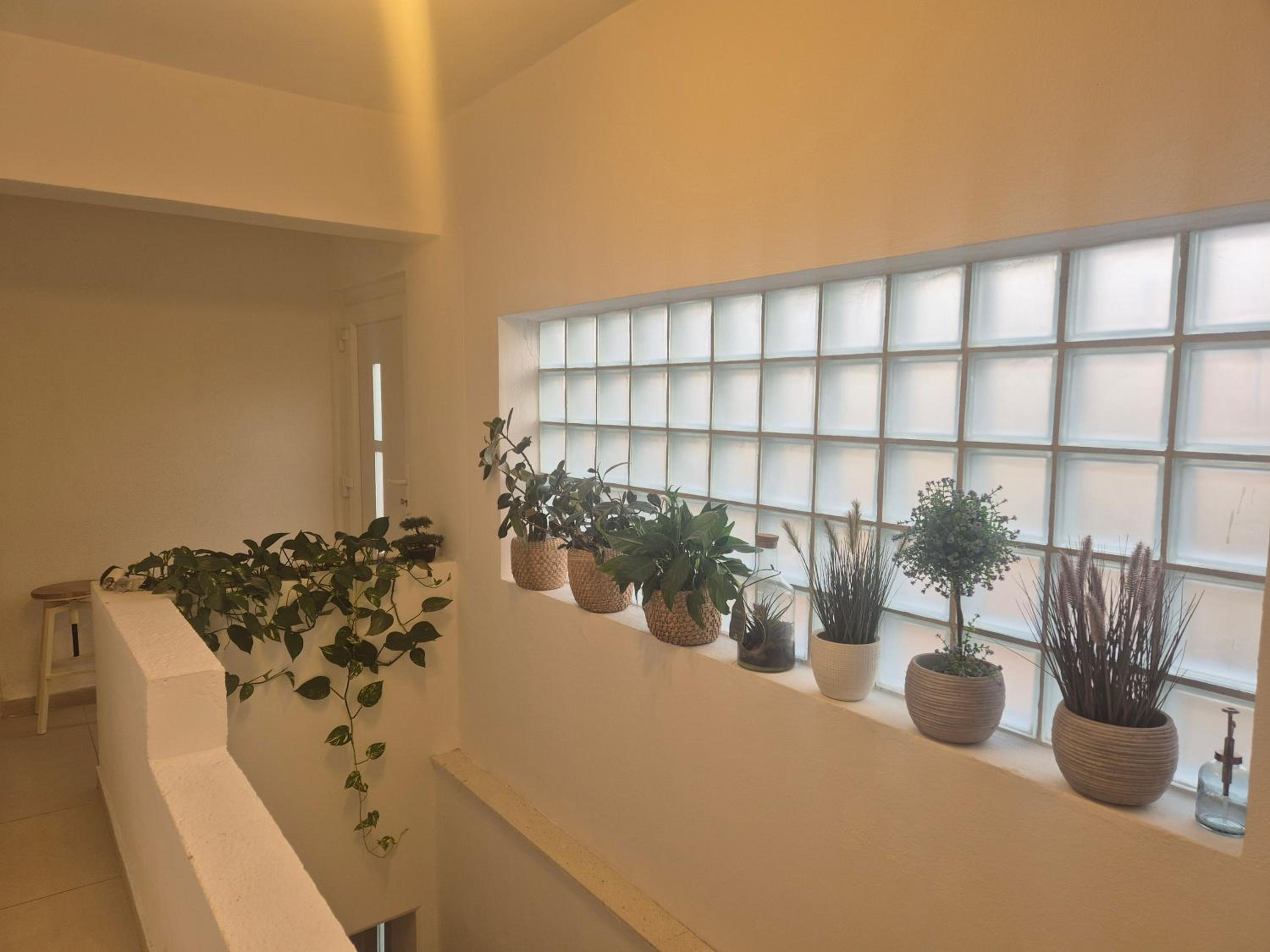 Apartman Anea