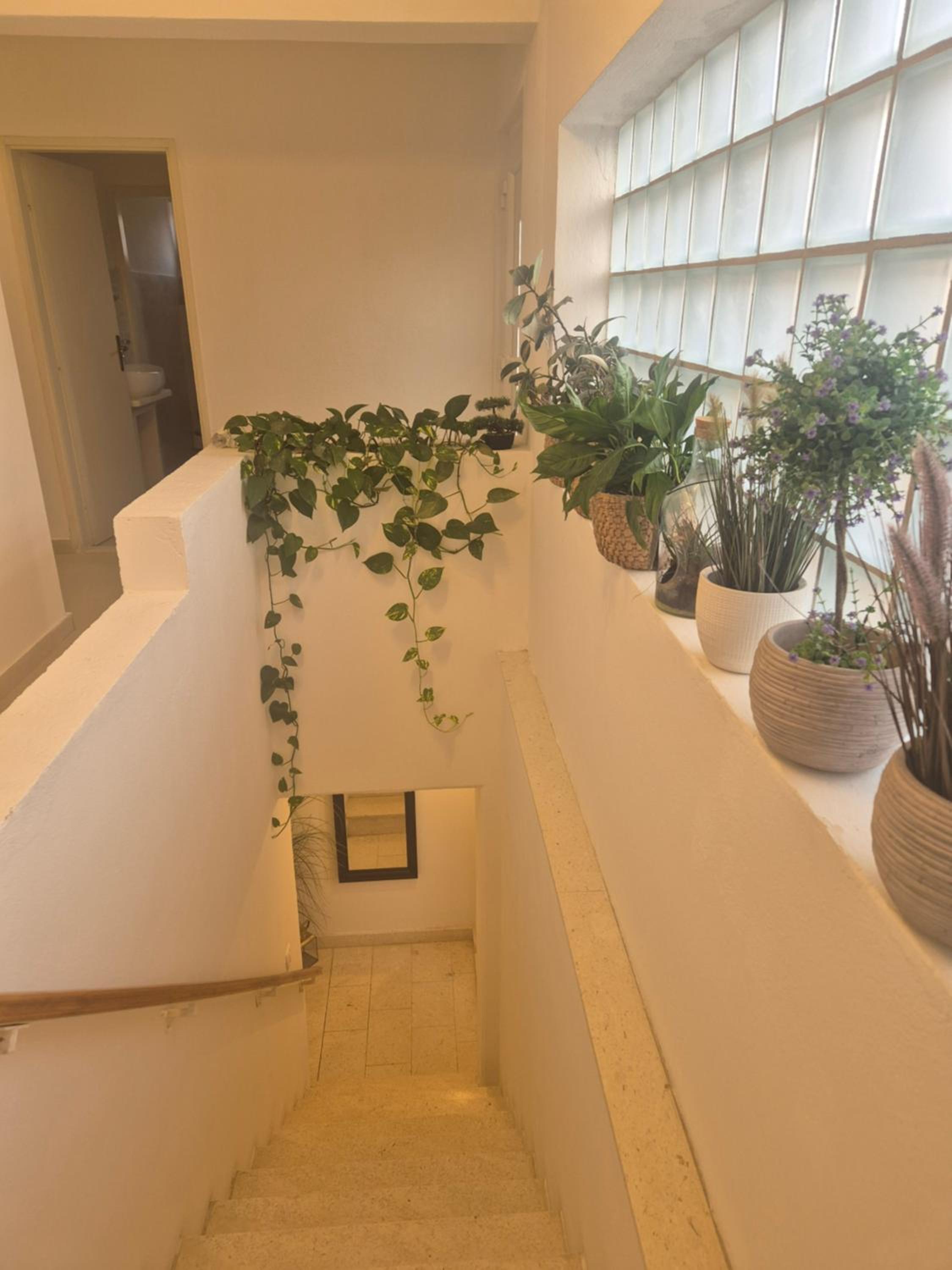 Apartman Anea