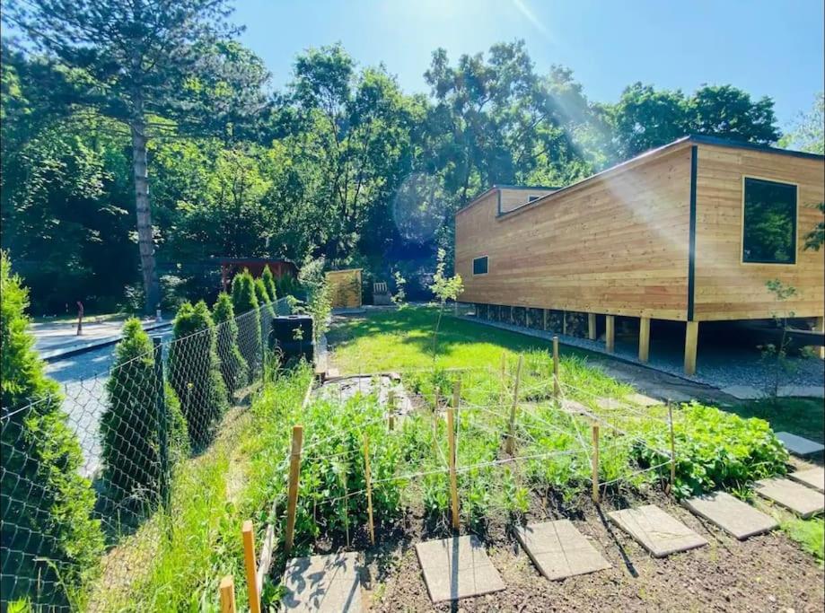 Glamping paradise with wellness