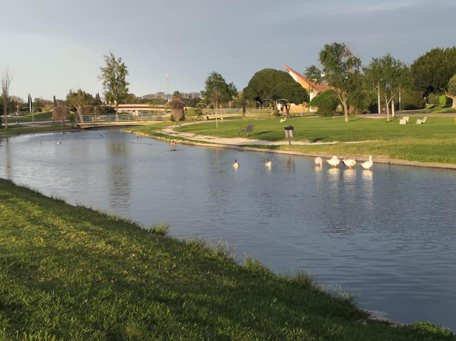 Apartamento Ático Costa Ballena Jardines del Lago Cádiz