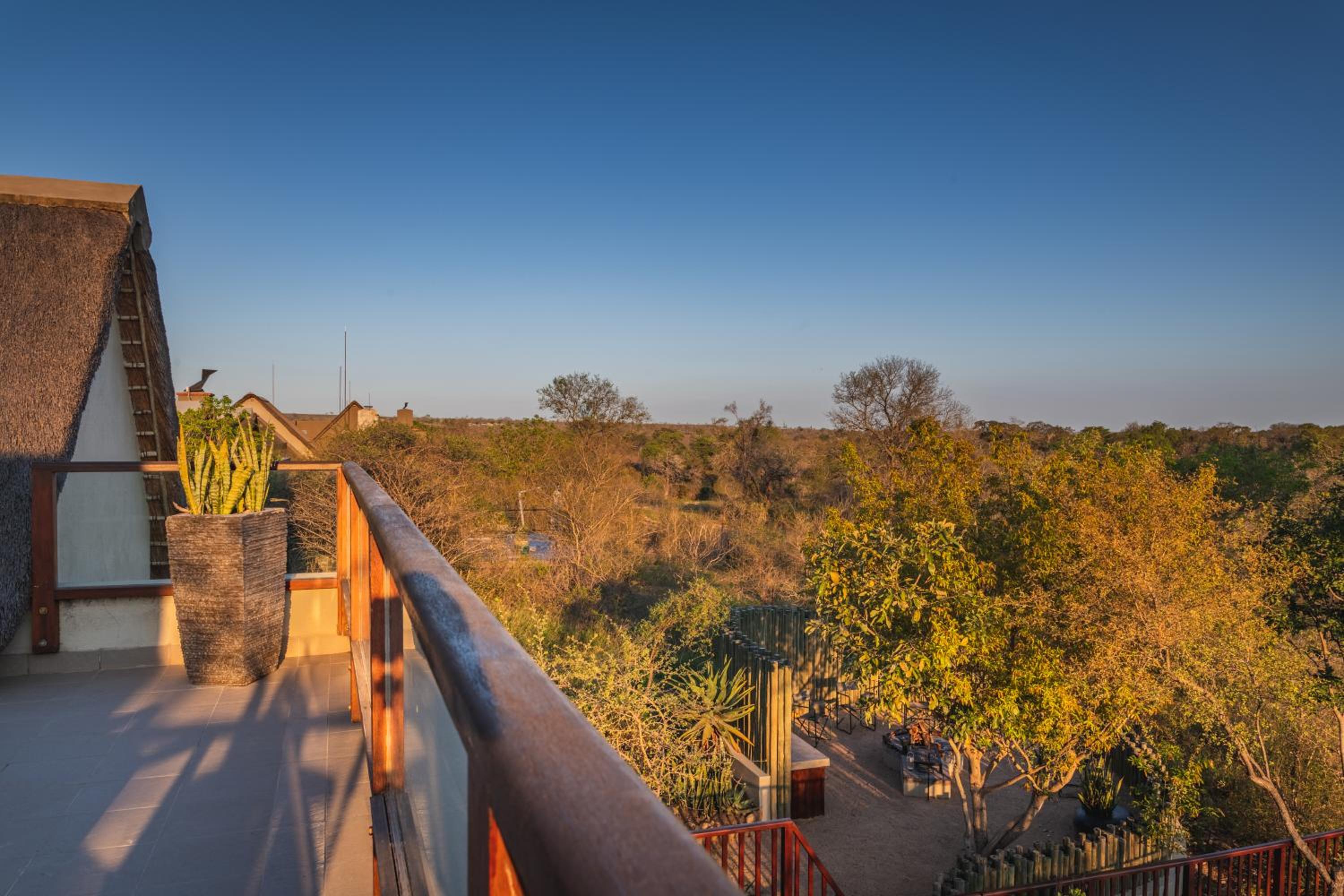 Elephant Point