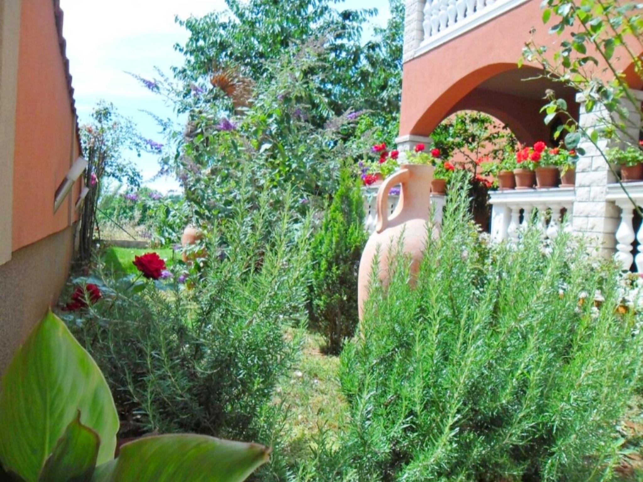Apartments Anto