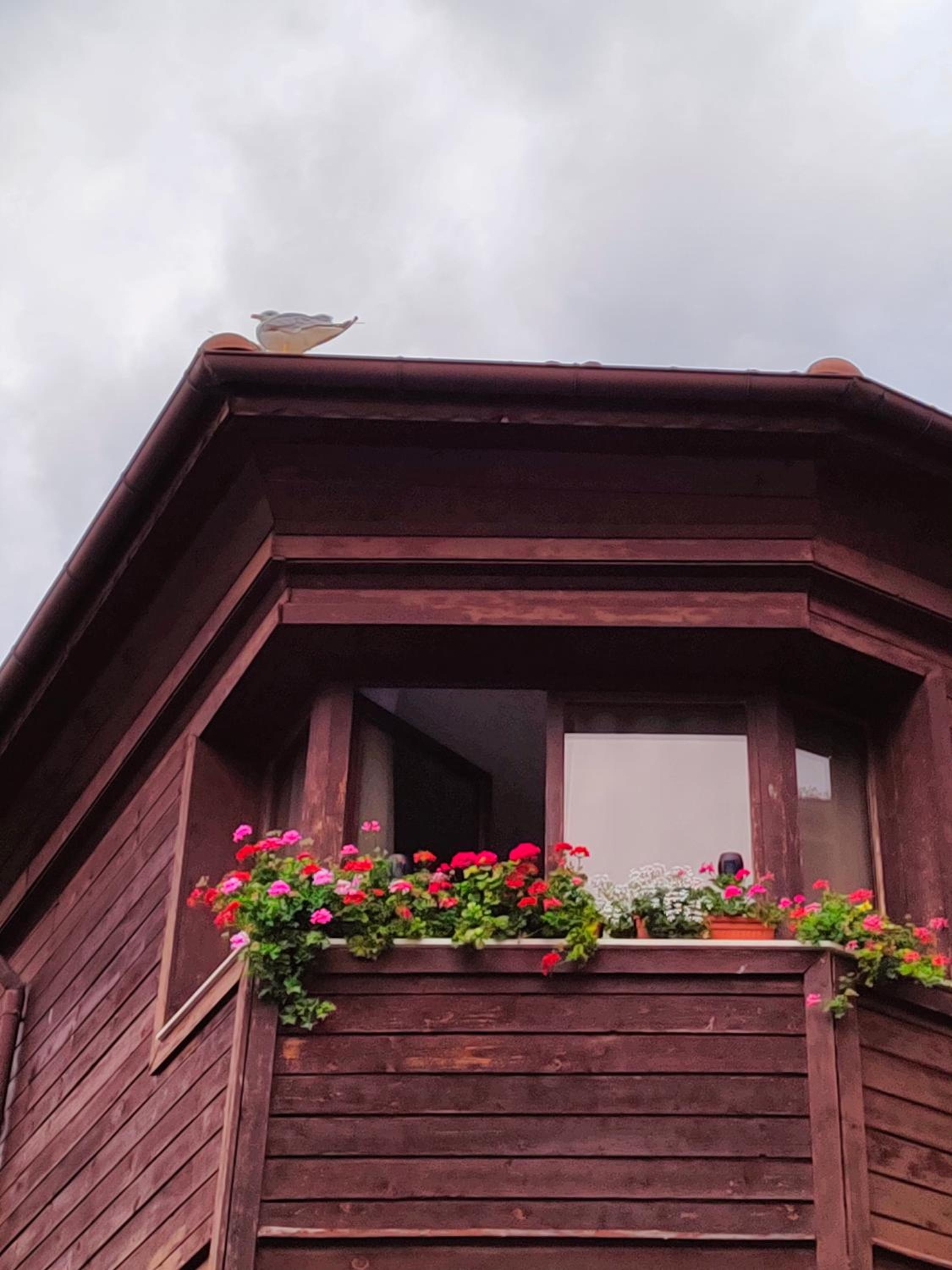Guest Rooms Melsambria