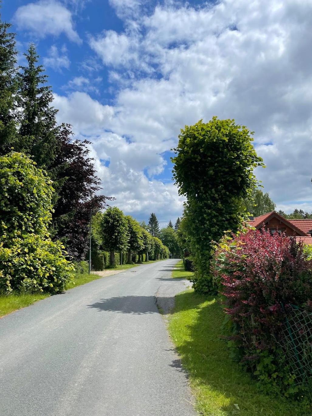 Serenity Harz