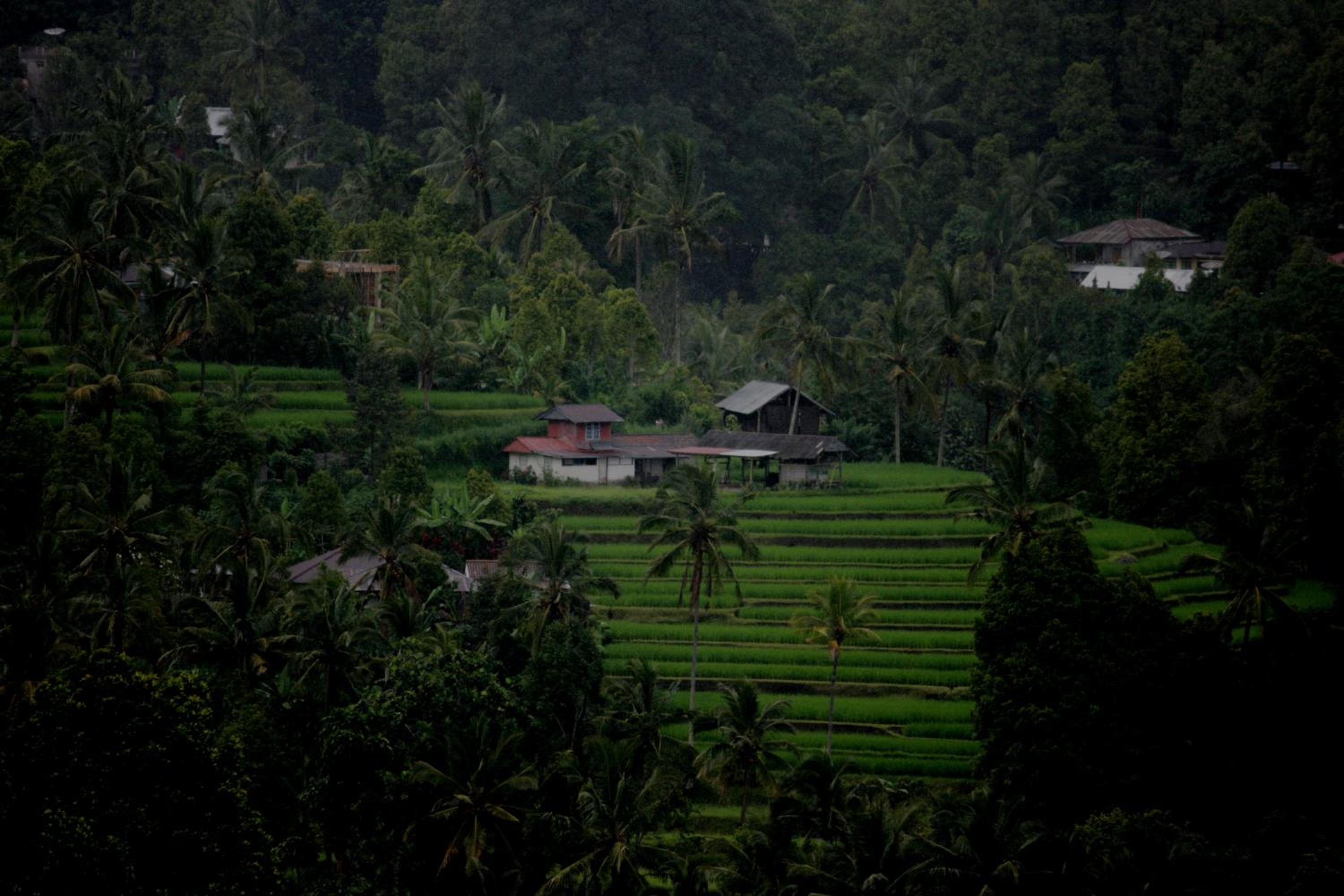 Melanting Cottages