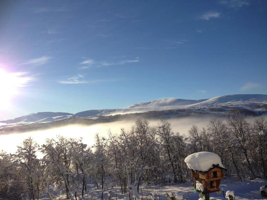 Stuga i Bruksvallarna med avresestäd Skoterled samt skidled i närhet vintertid Vandringsleder sommartid view 2