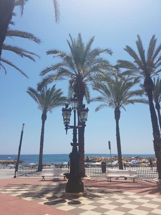 Piso Liam Torrevieja
