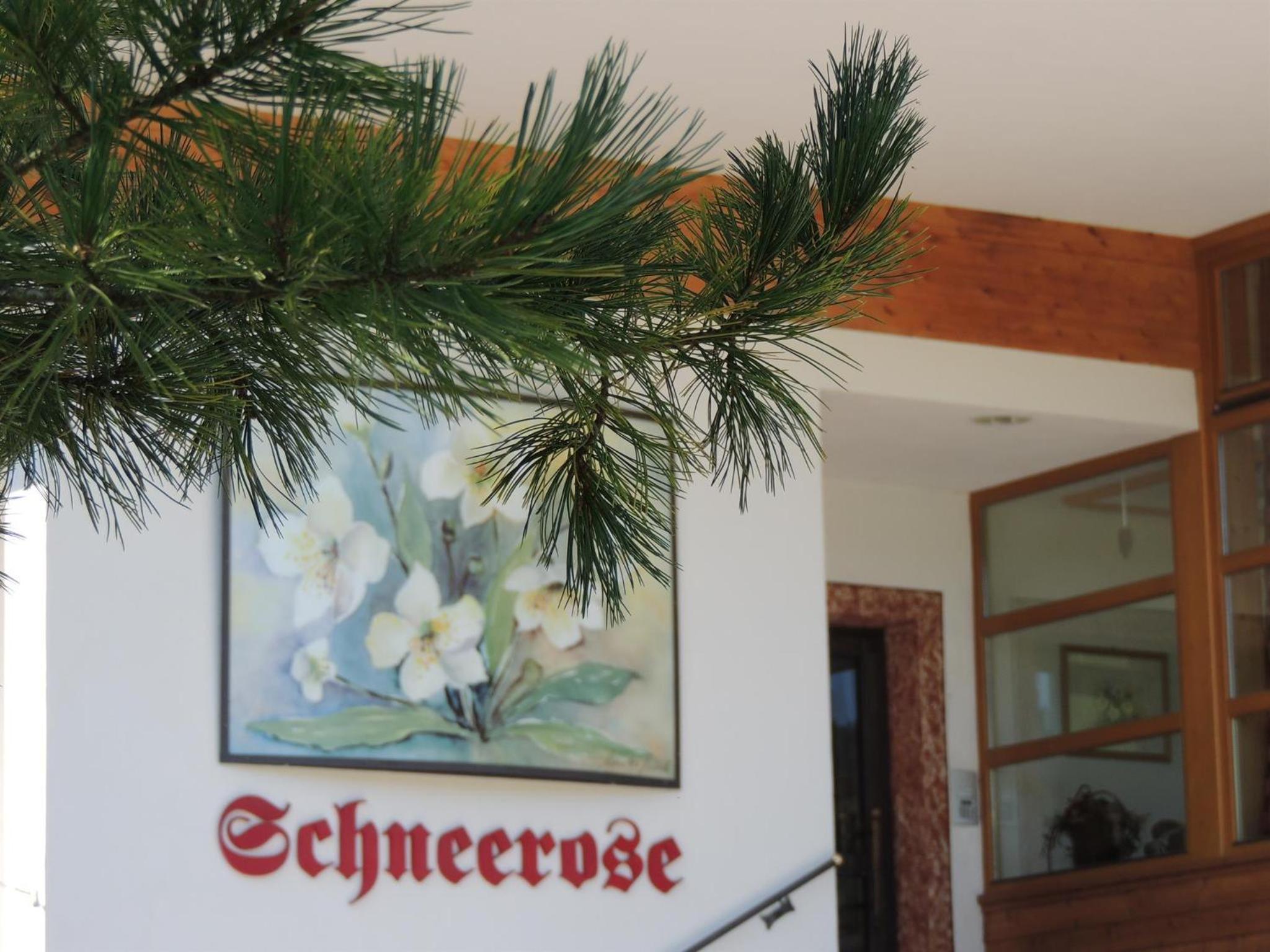 Pension Schneerose