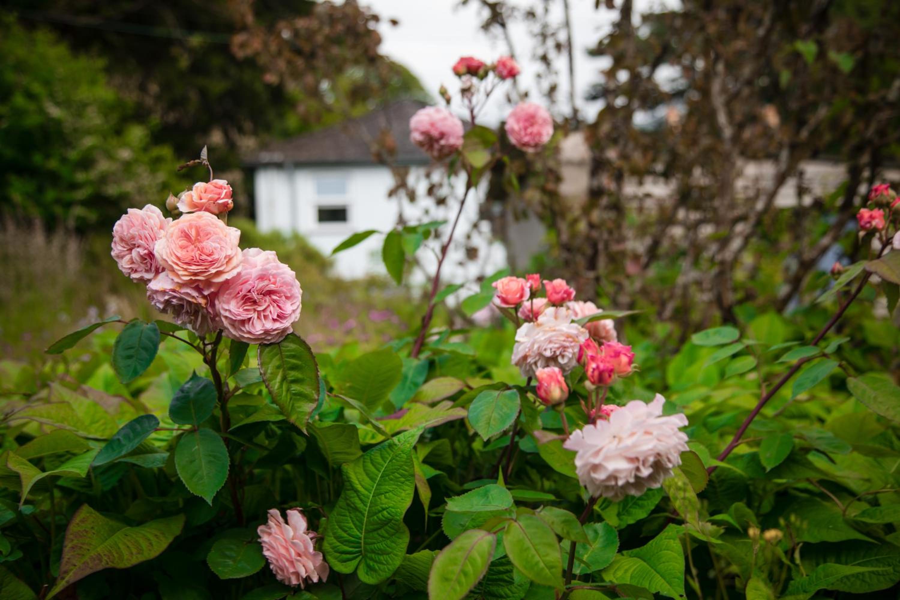 other