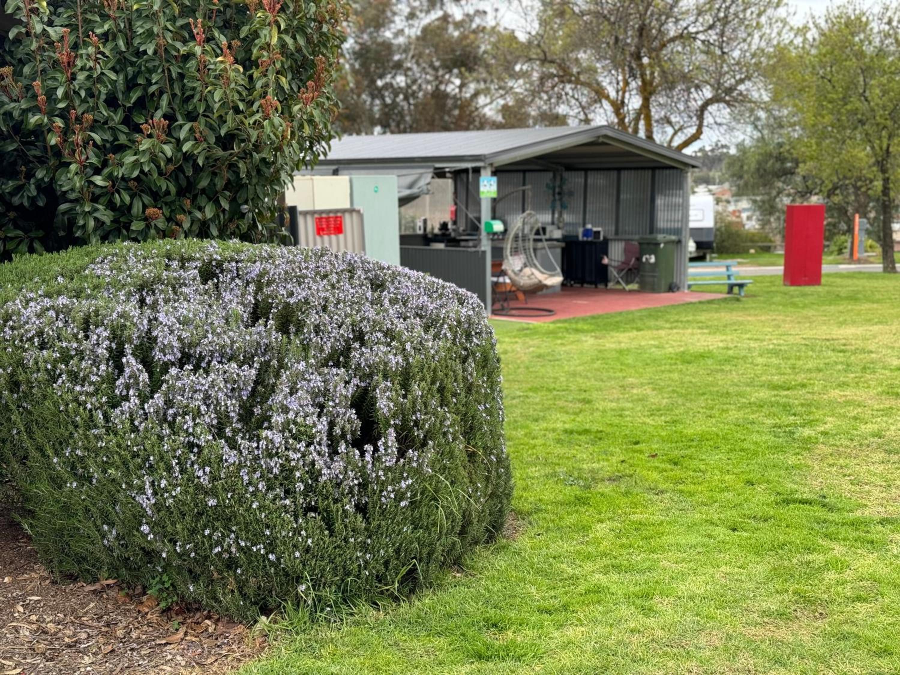 St Arnaud Caravan Park