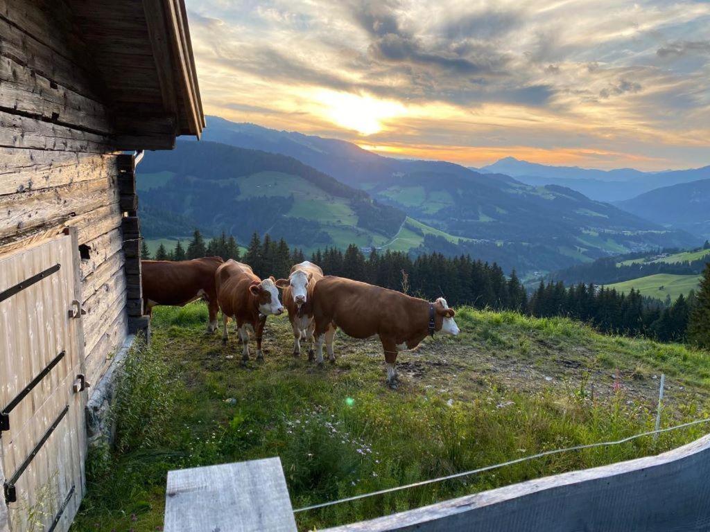 Prädasten-Chalet