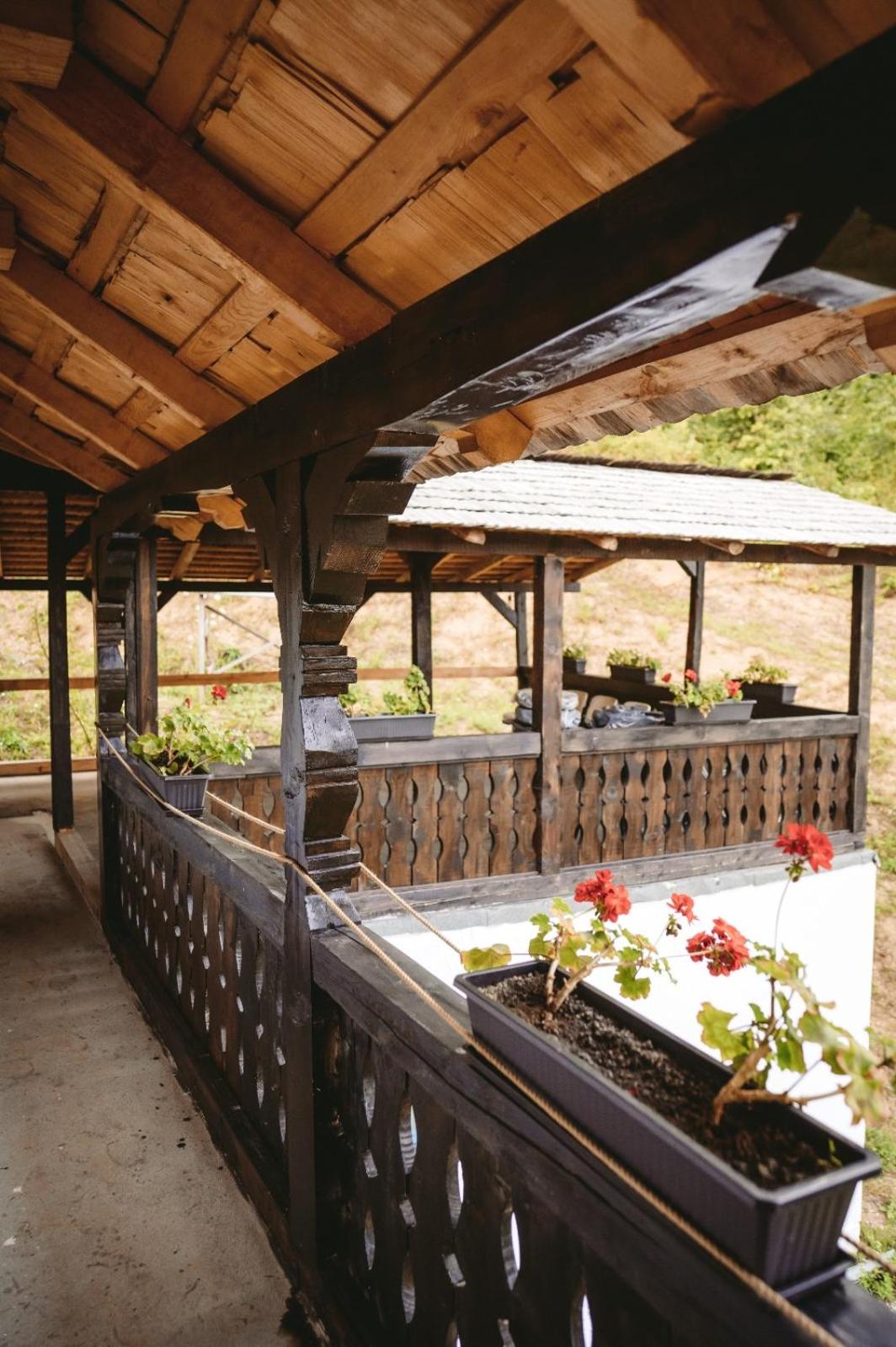 Casa Mariș view 5