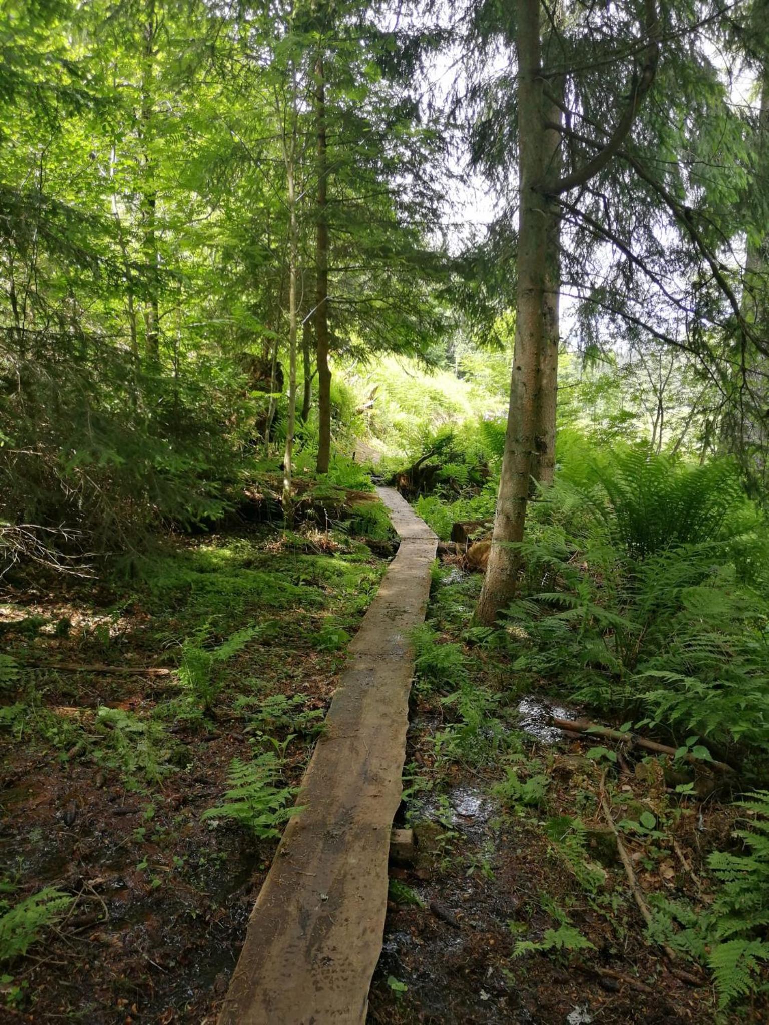 Ferienhaus Auszeit mit Terrasse, photo 14