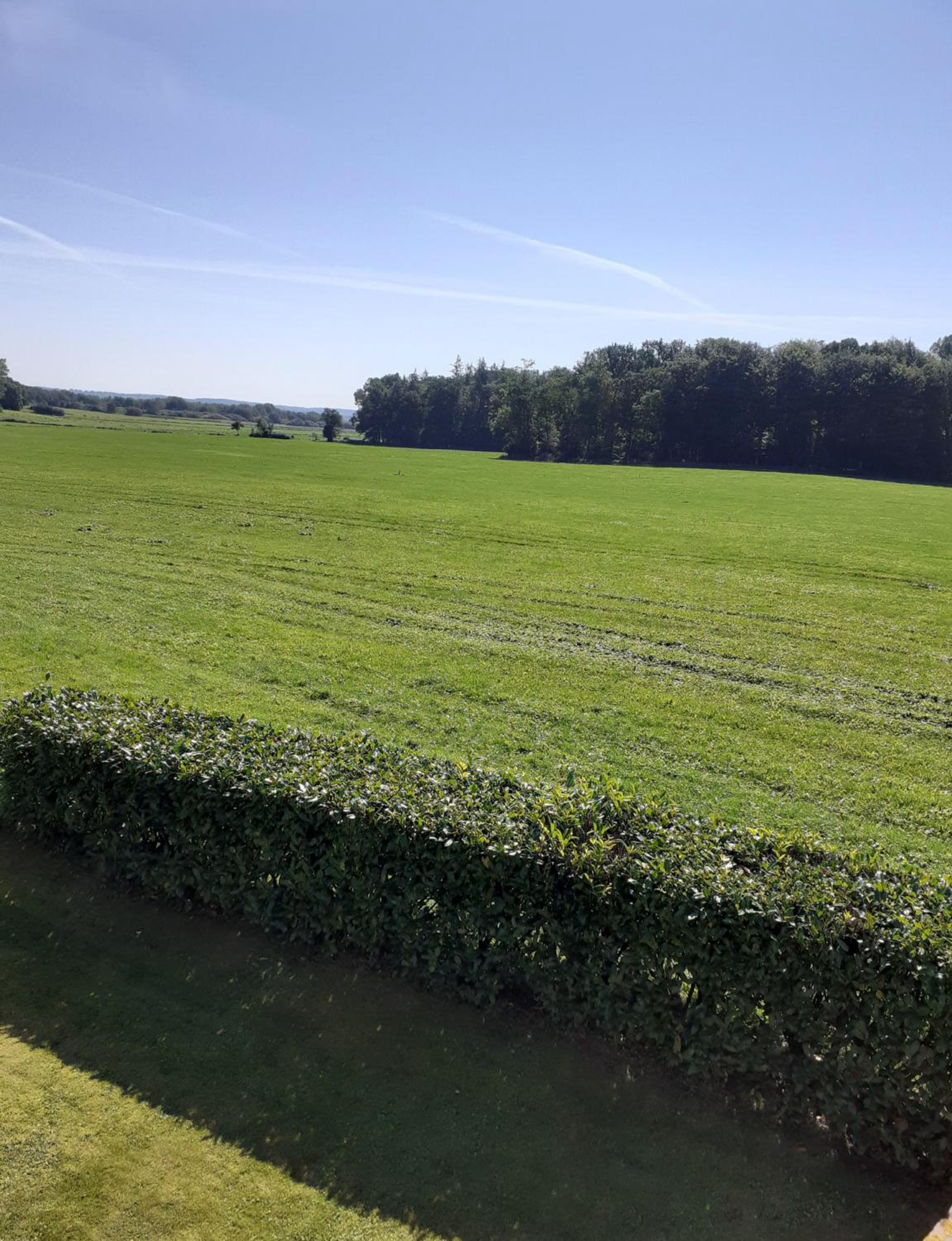 Ferienwohnung I Raup