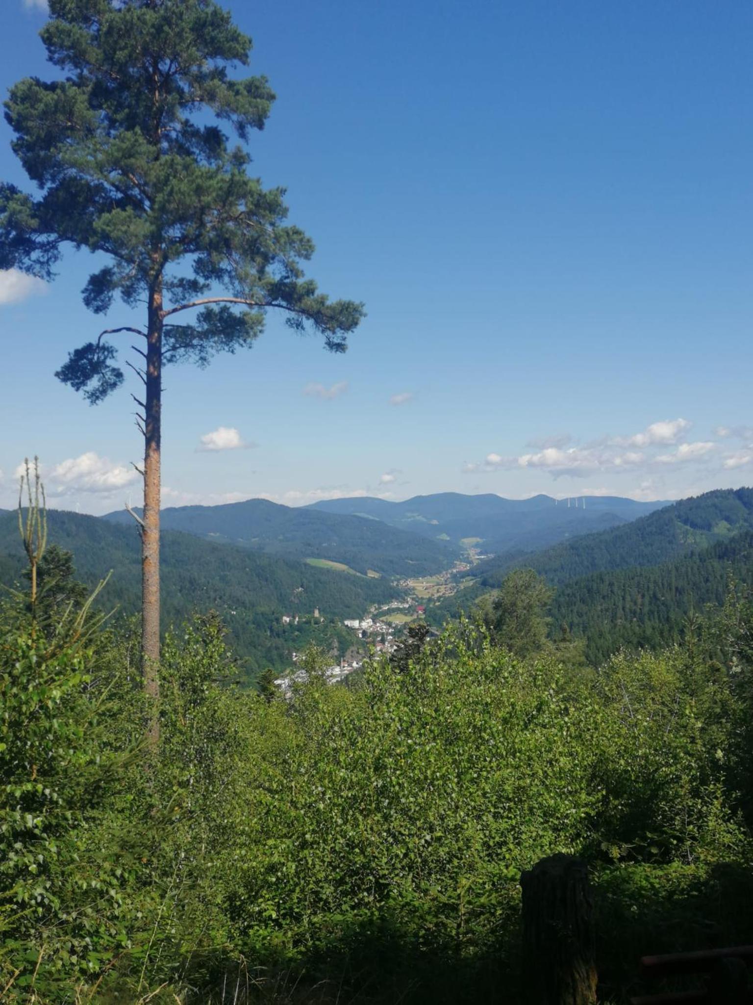 Ferienhaus Auszeit mit Terrasse, photo 3