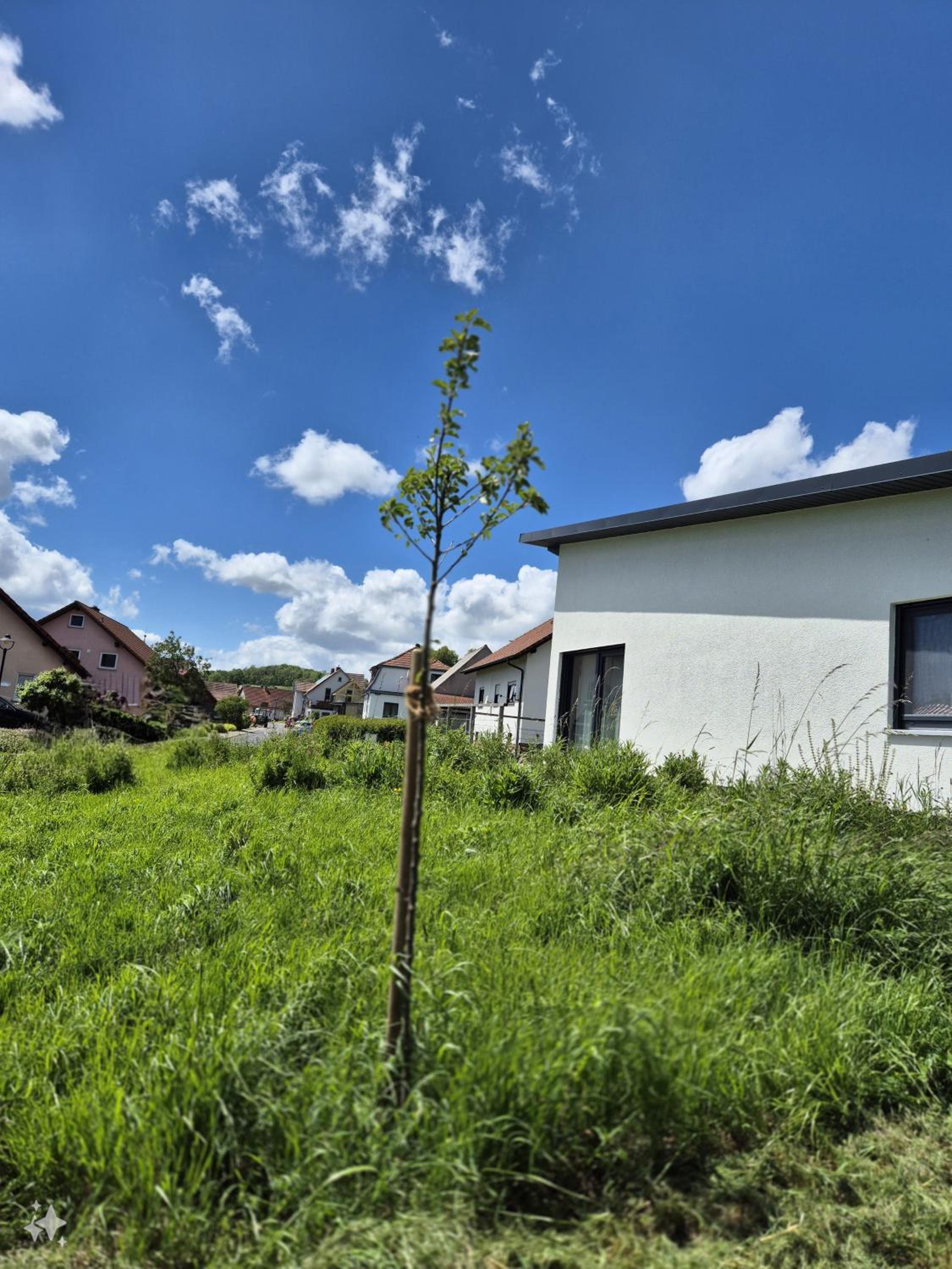 Ferienhaus Birx